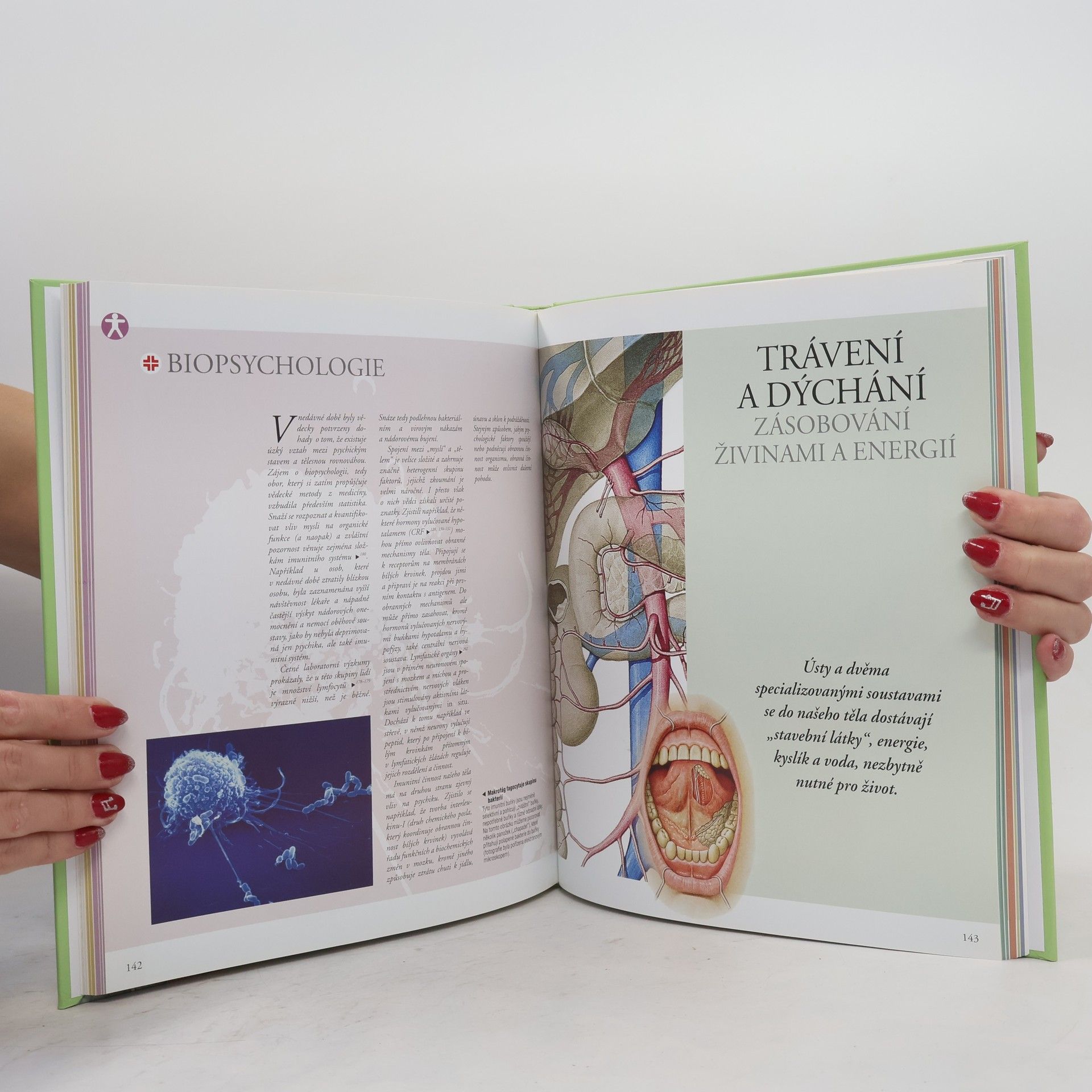 Adriana Rigutti Ilustrovaný atlas anatomie