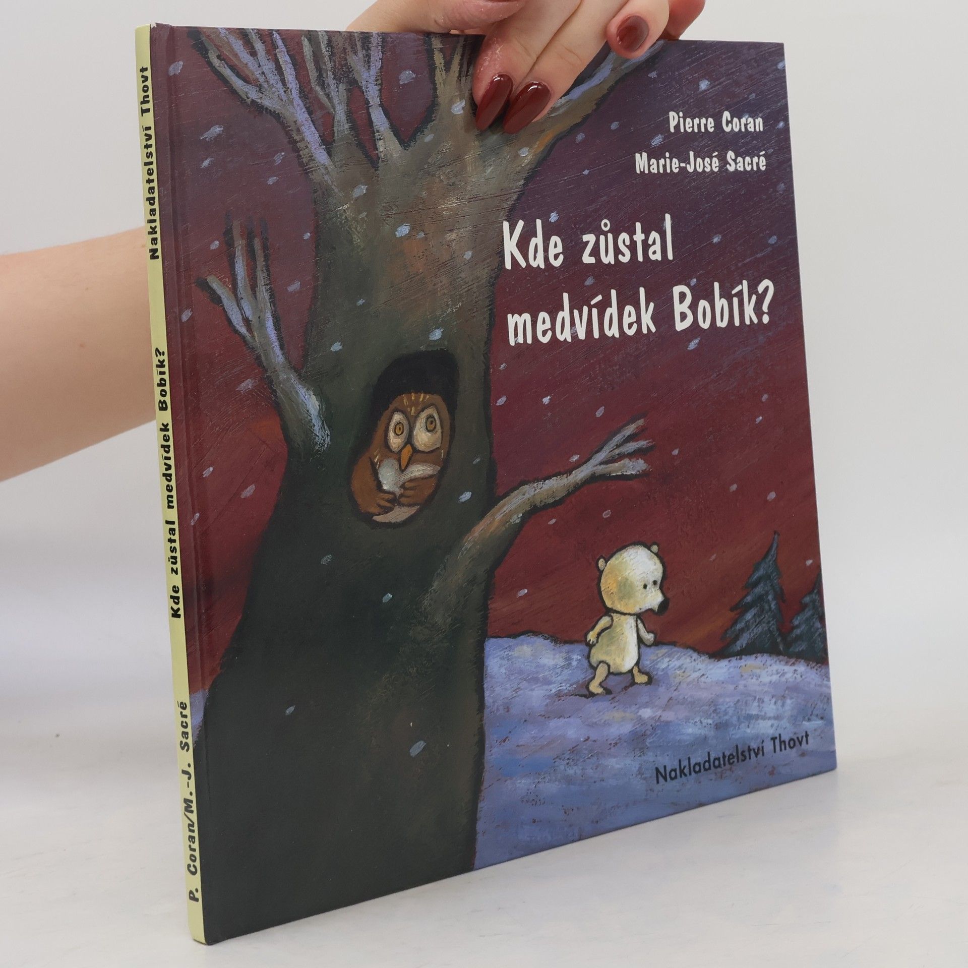 Kde zůstal medvídek Bobík?