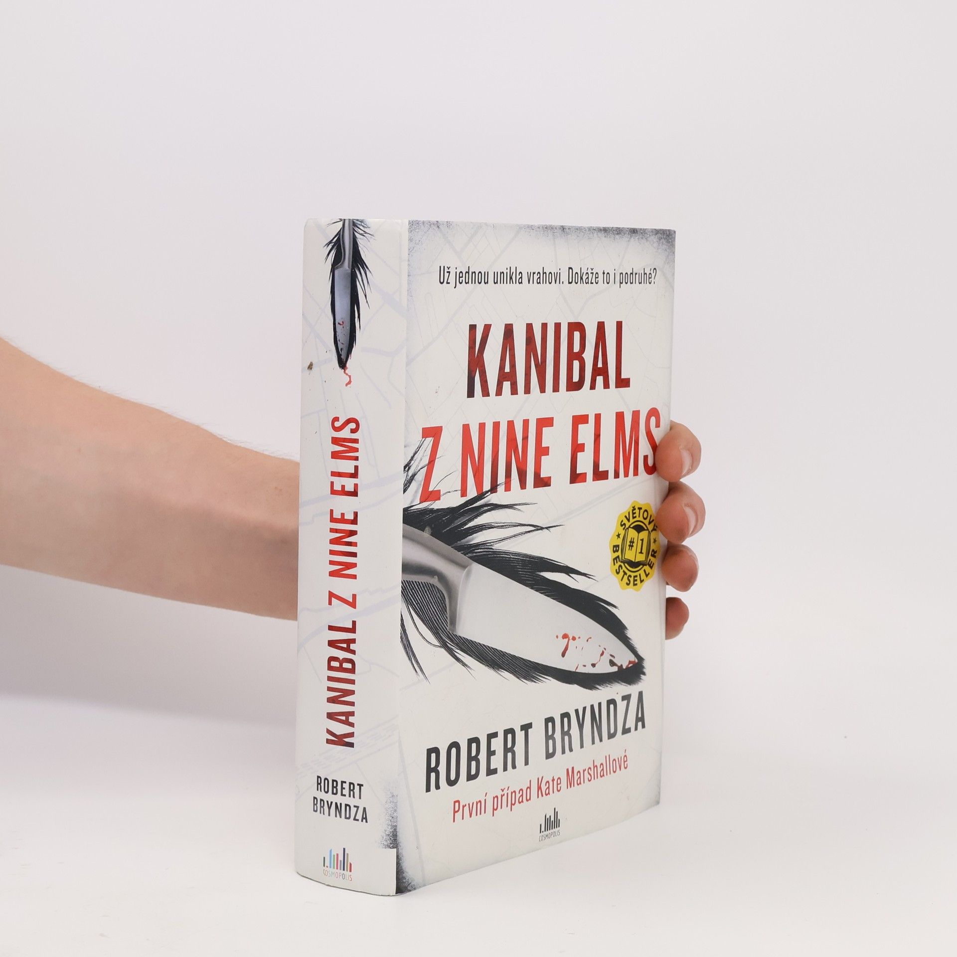 Robert Bryndza Kanibal z Nine Elms