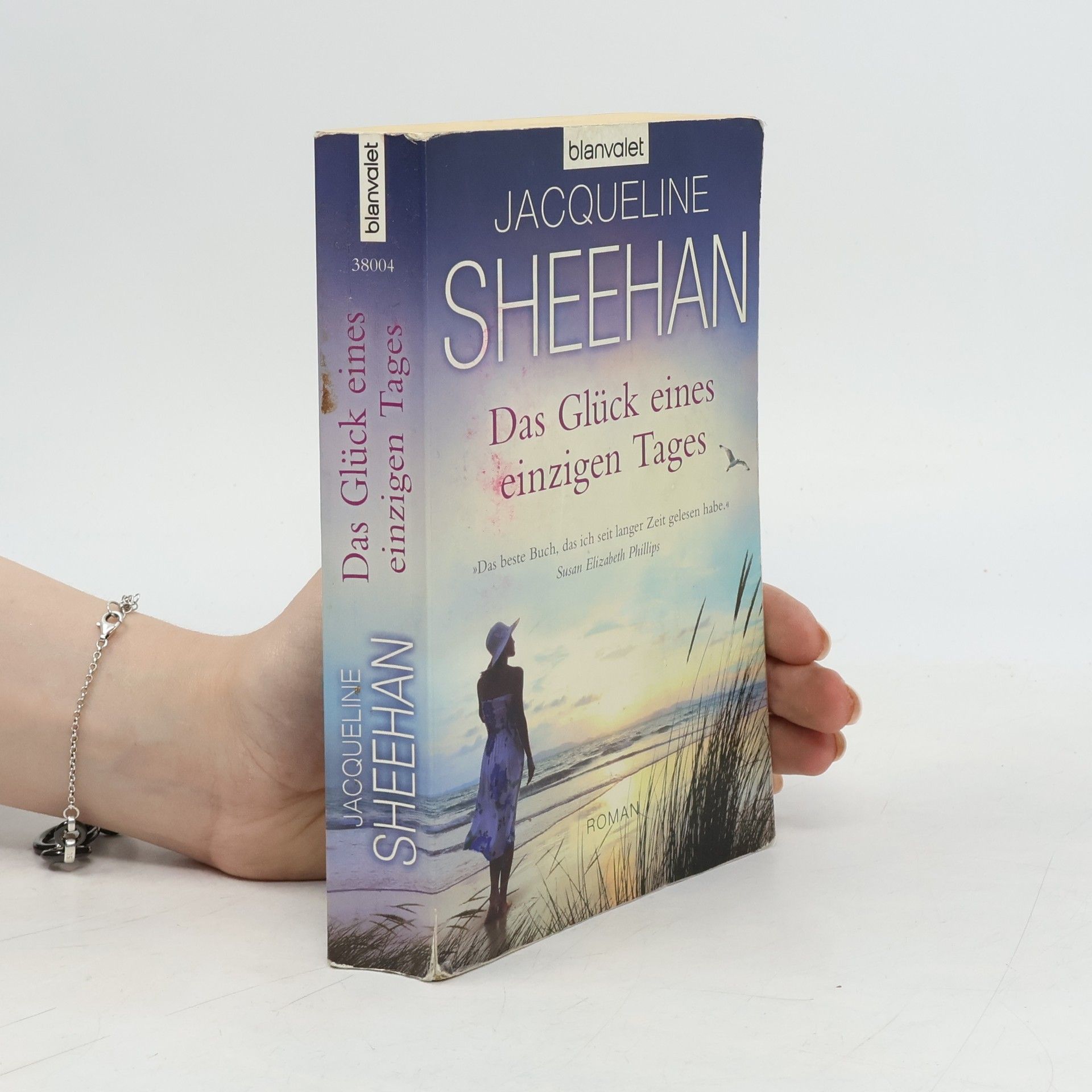 Jacqueline Sheehan Das Glück eines einzigen Tages