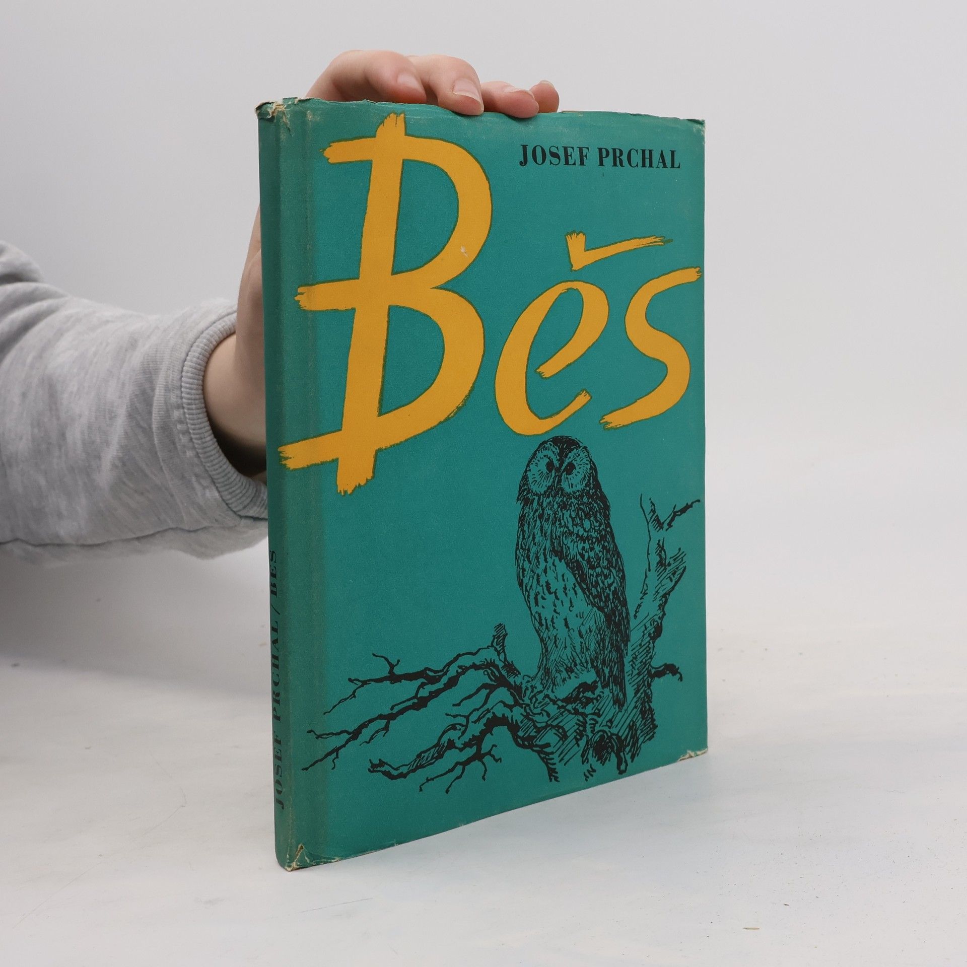 Běs