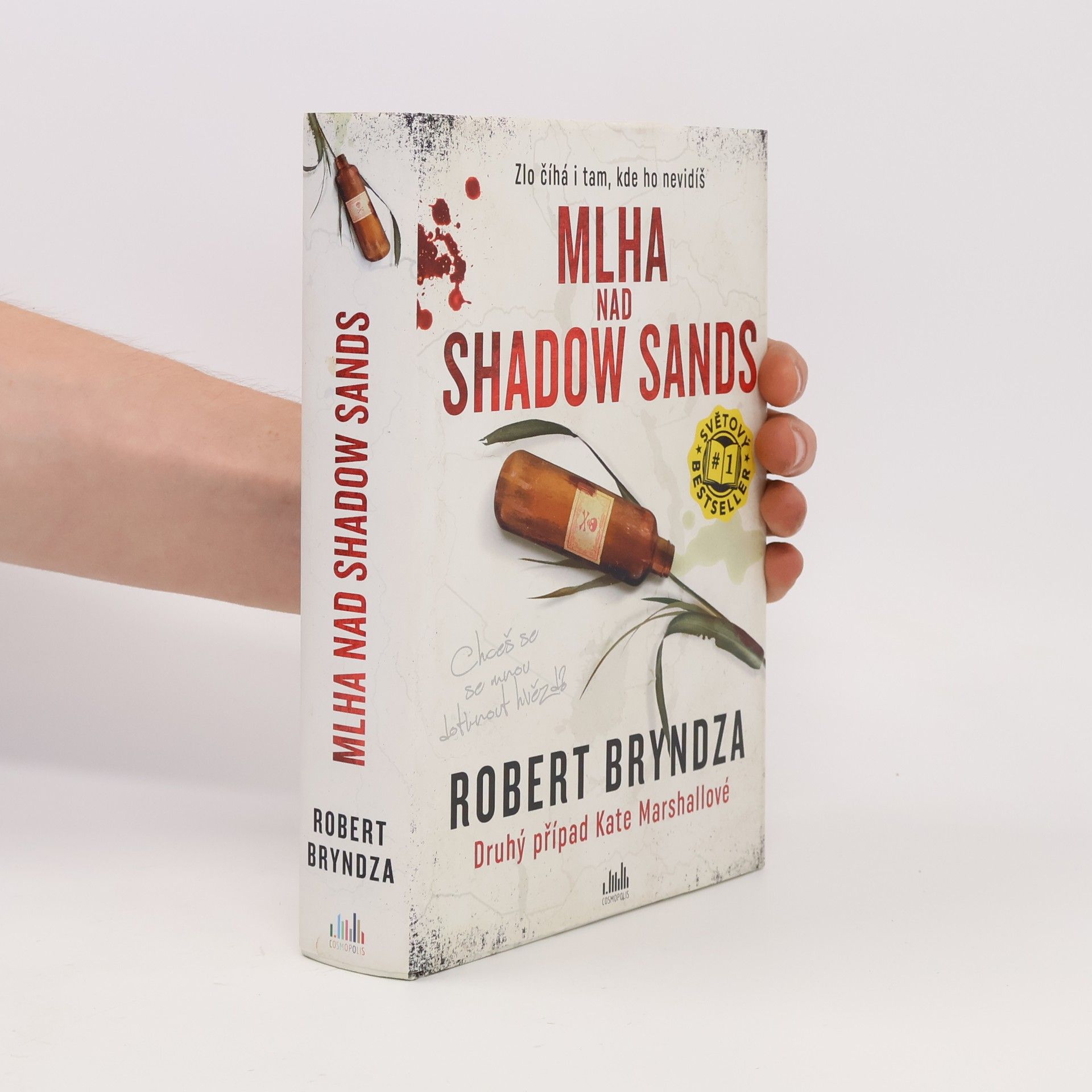 Robert Bryndza Mlha nad Shadow Sands