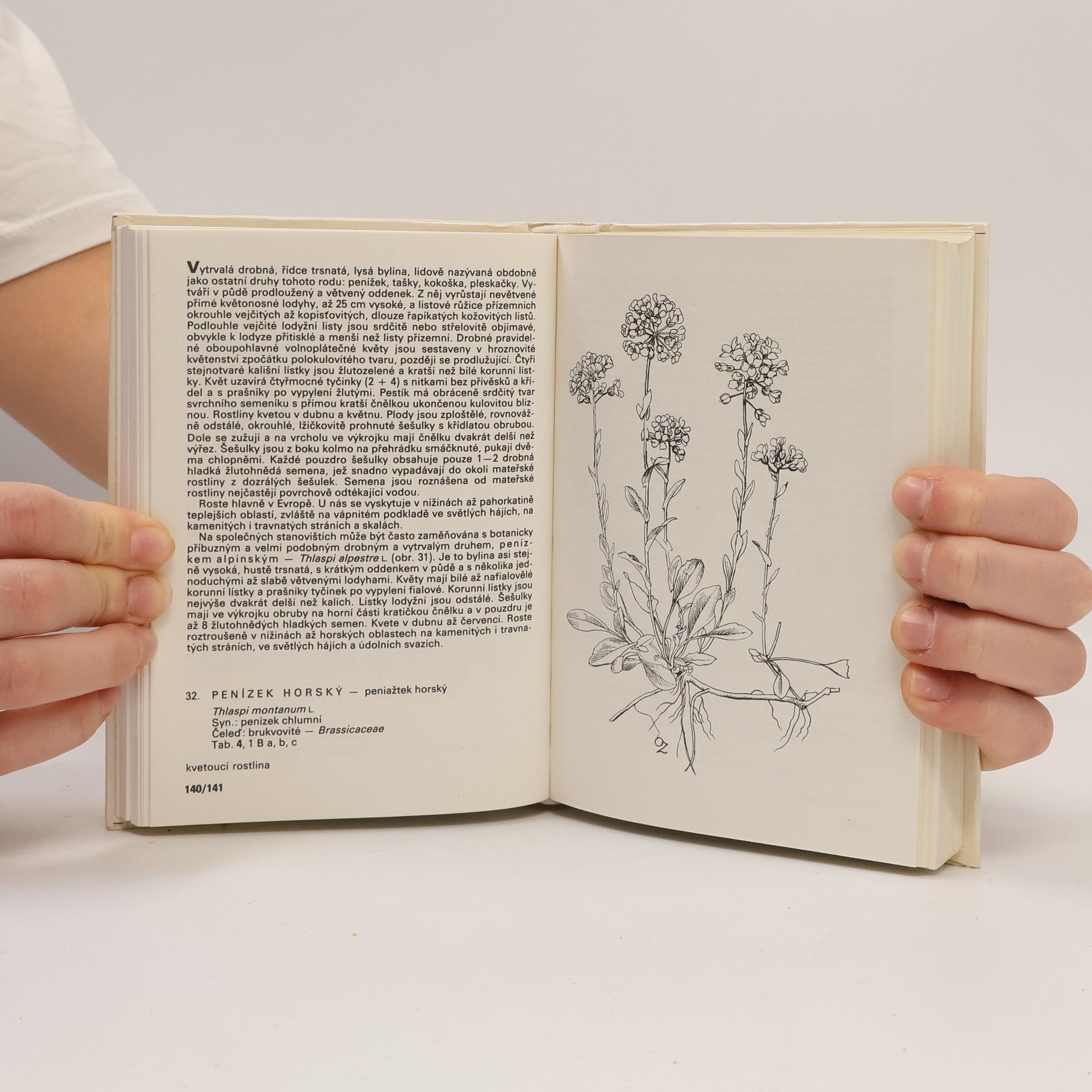 František Hron Rostliny strání, skal, křovin a lesů. Kapesní atlas