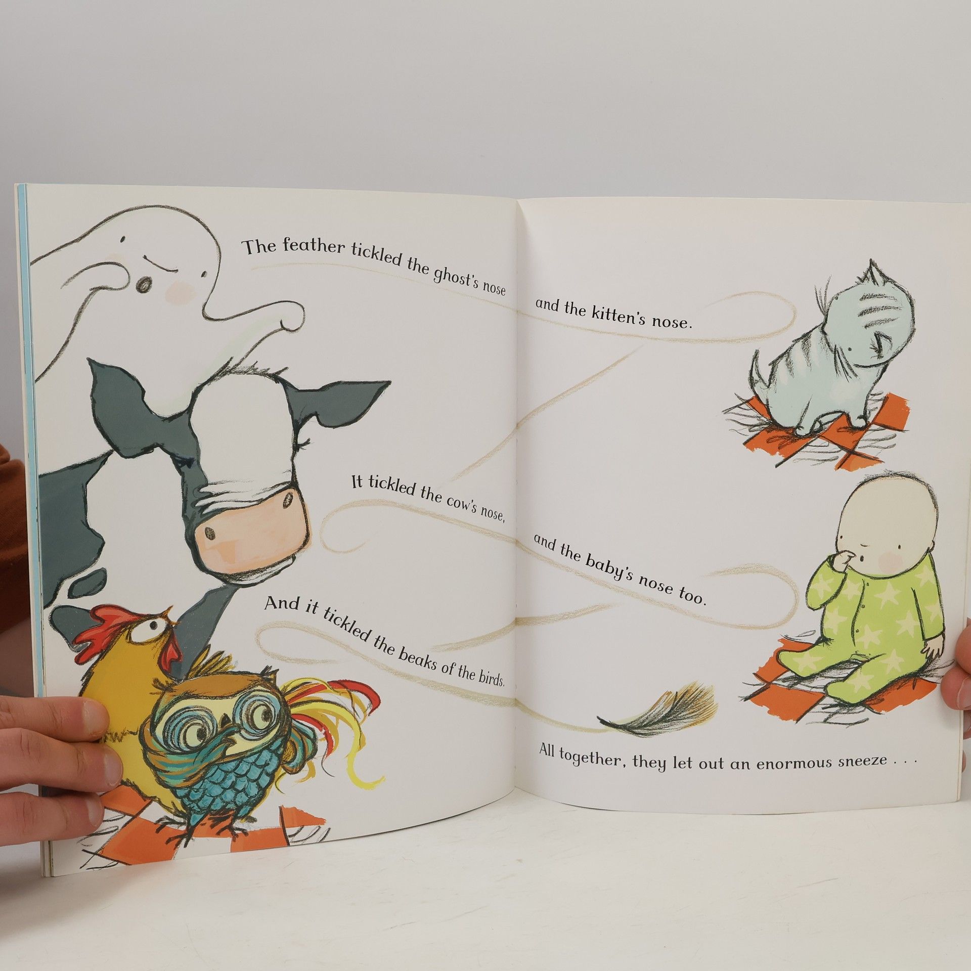 Julia Donaldson Wake Up Do, Lydia Lou!