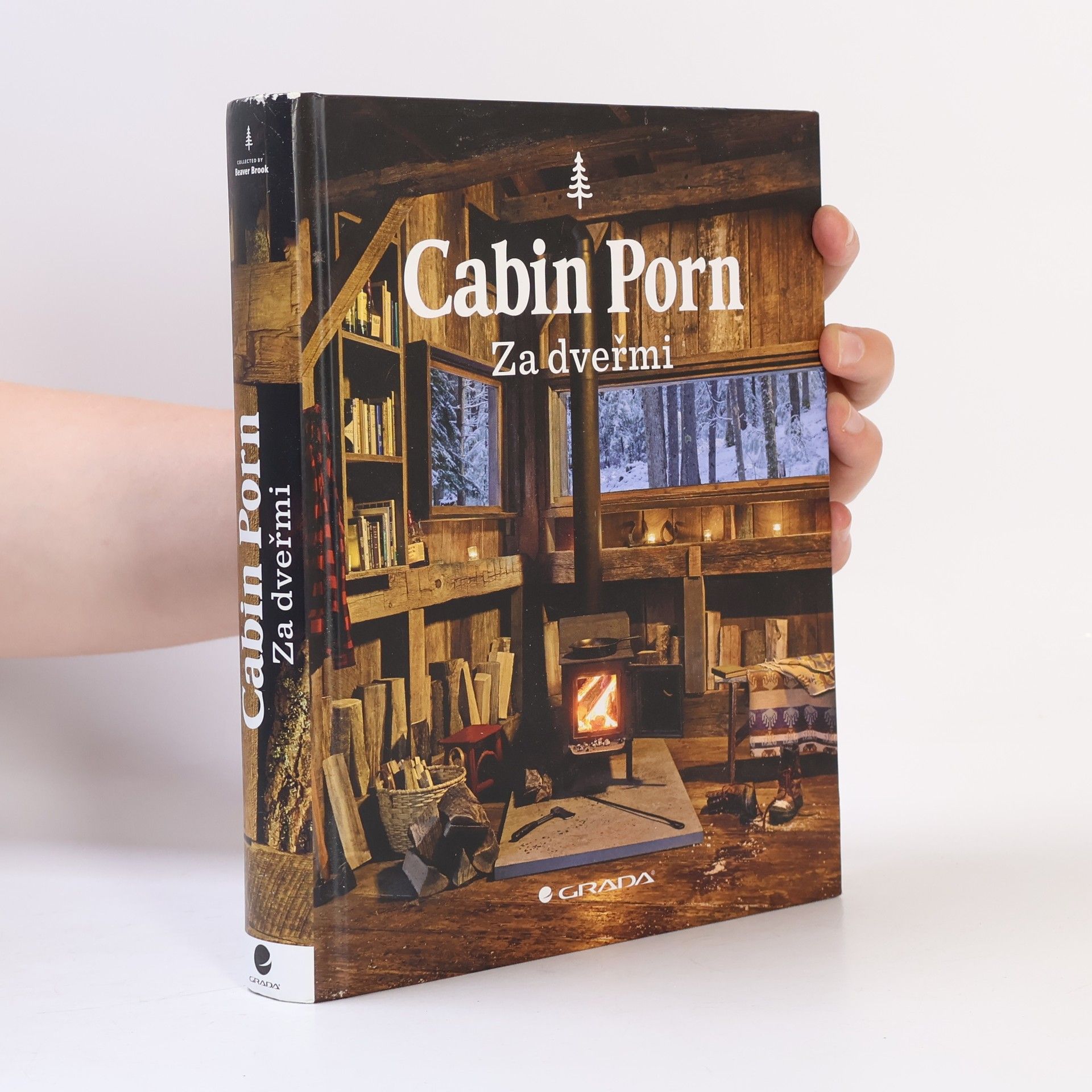 Matt Cassity Cabin porn : za dveřmi