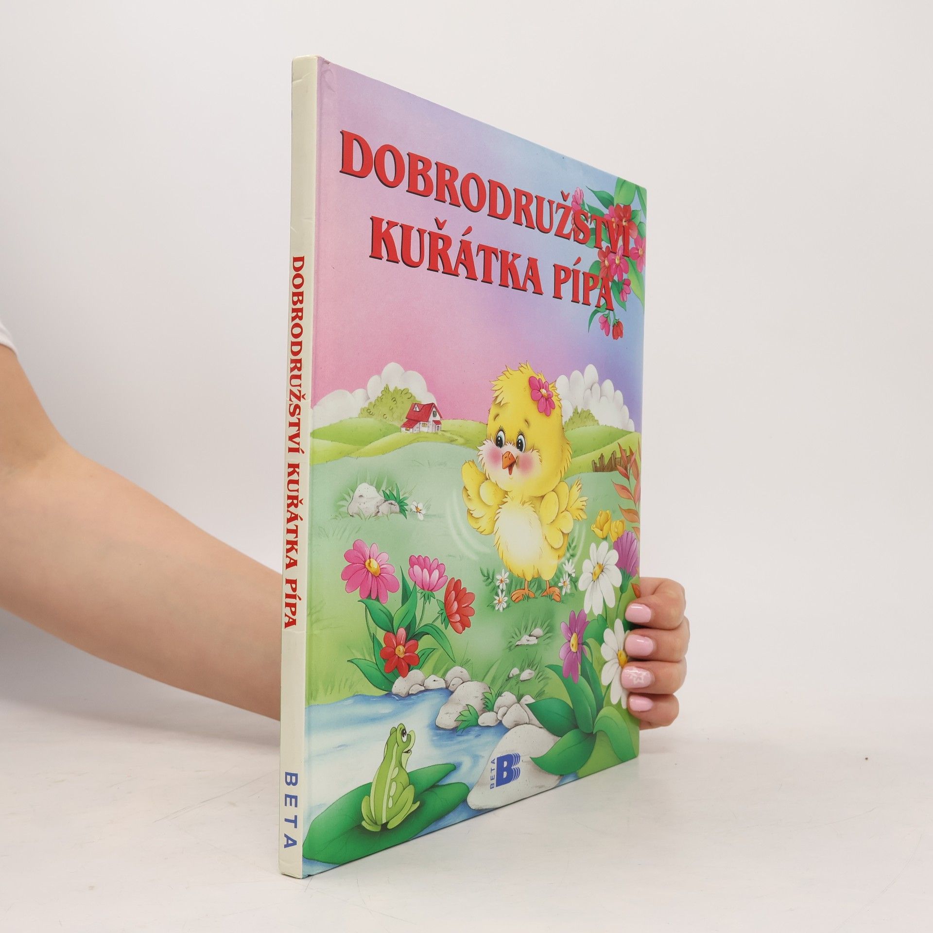 Maggiorina Castoldi Dobrodružství kuřátka Pípa