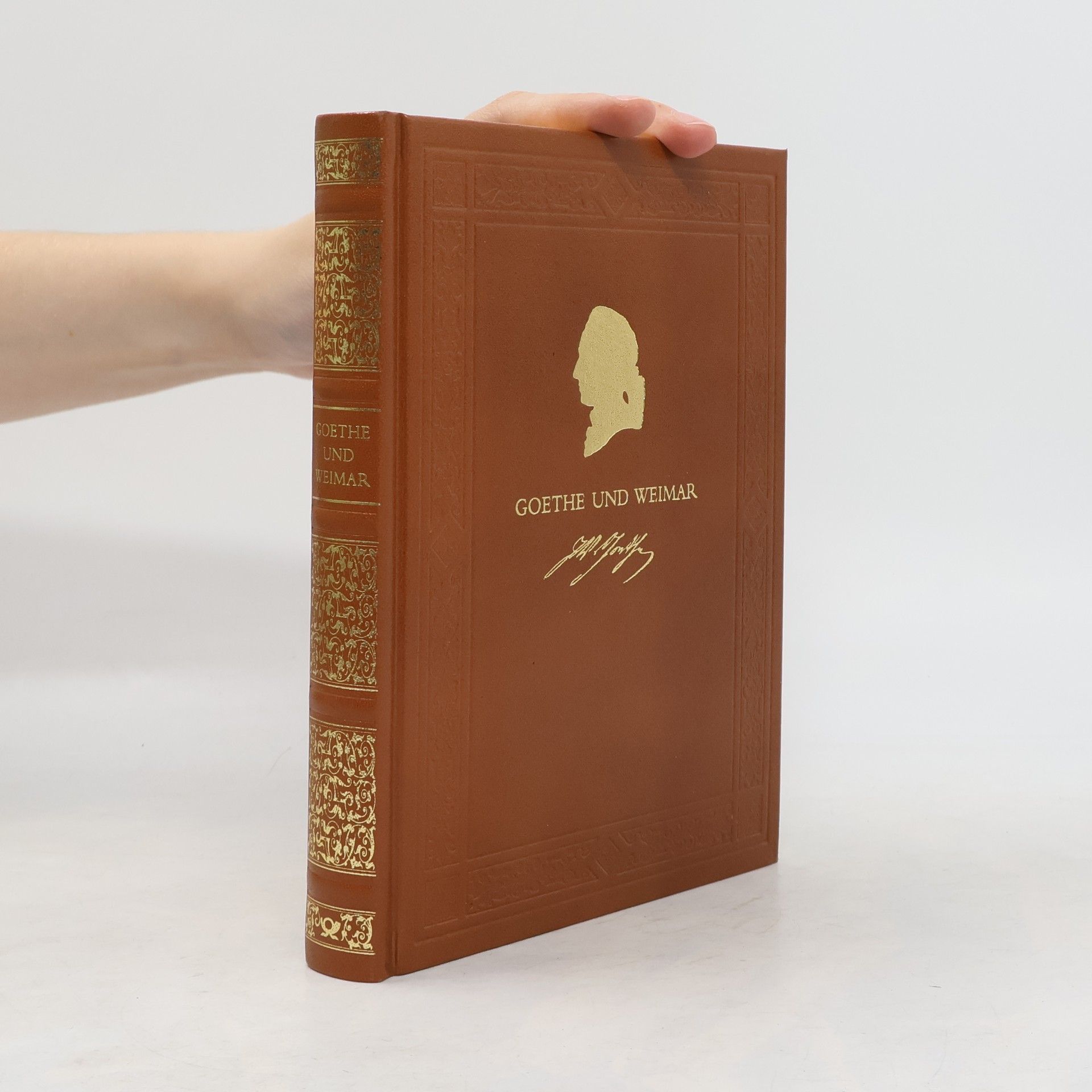 Kolektív autorov Goethe und Weimar