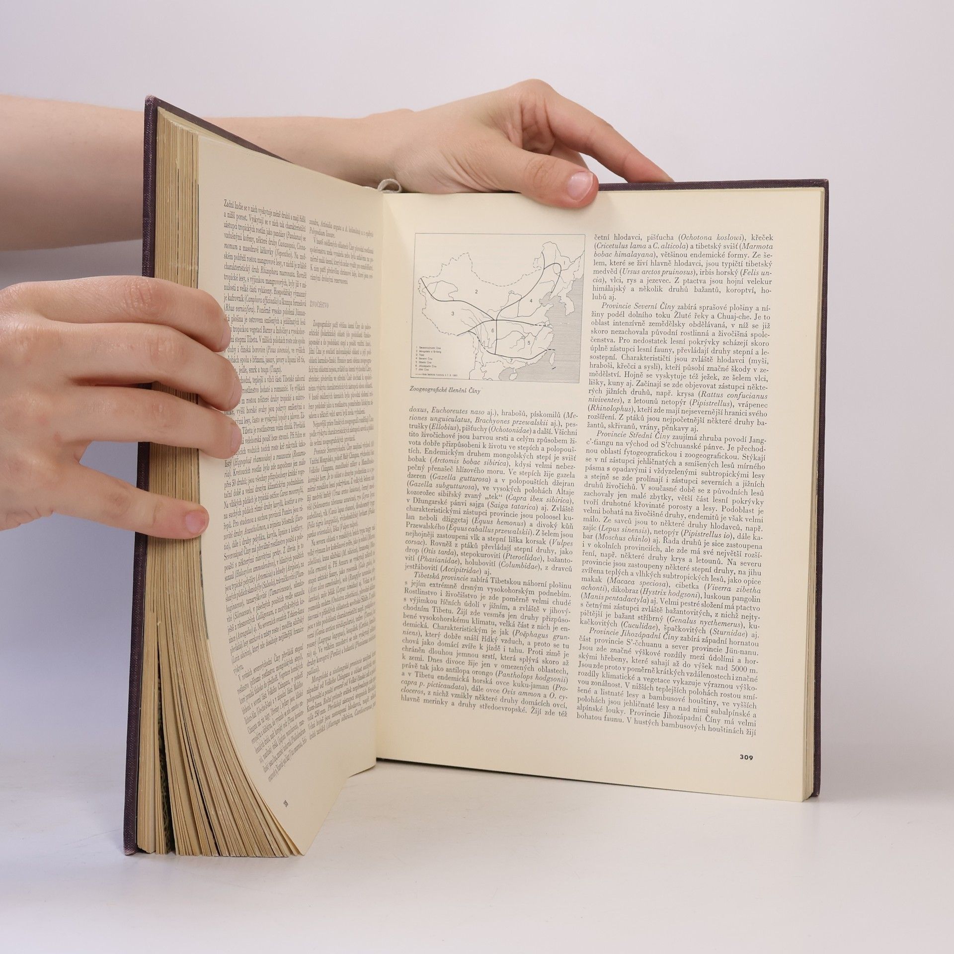 Autorenkollektiv Zeměpis světa. Asie