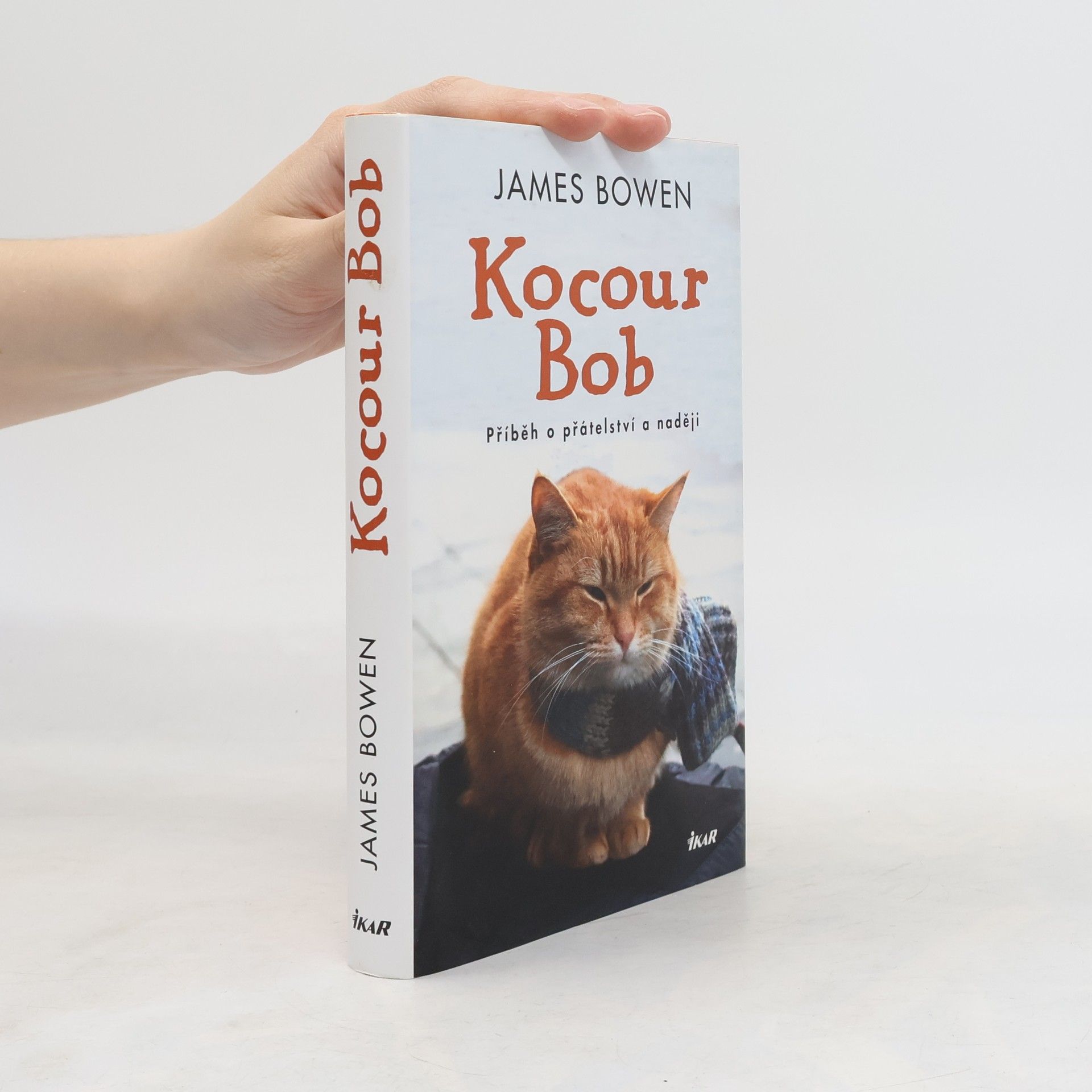 James Bowen Kocour Bob
