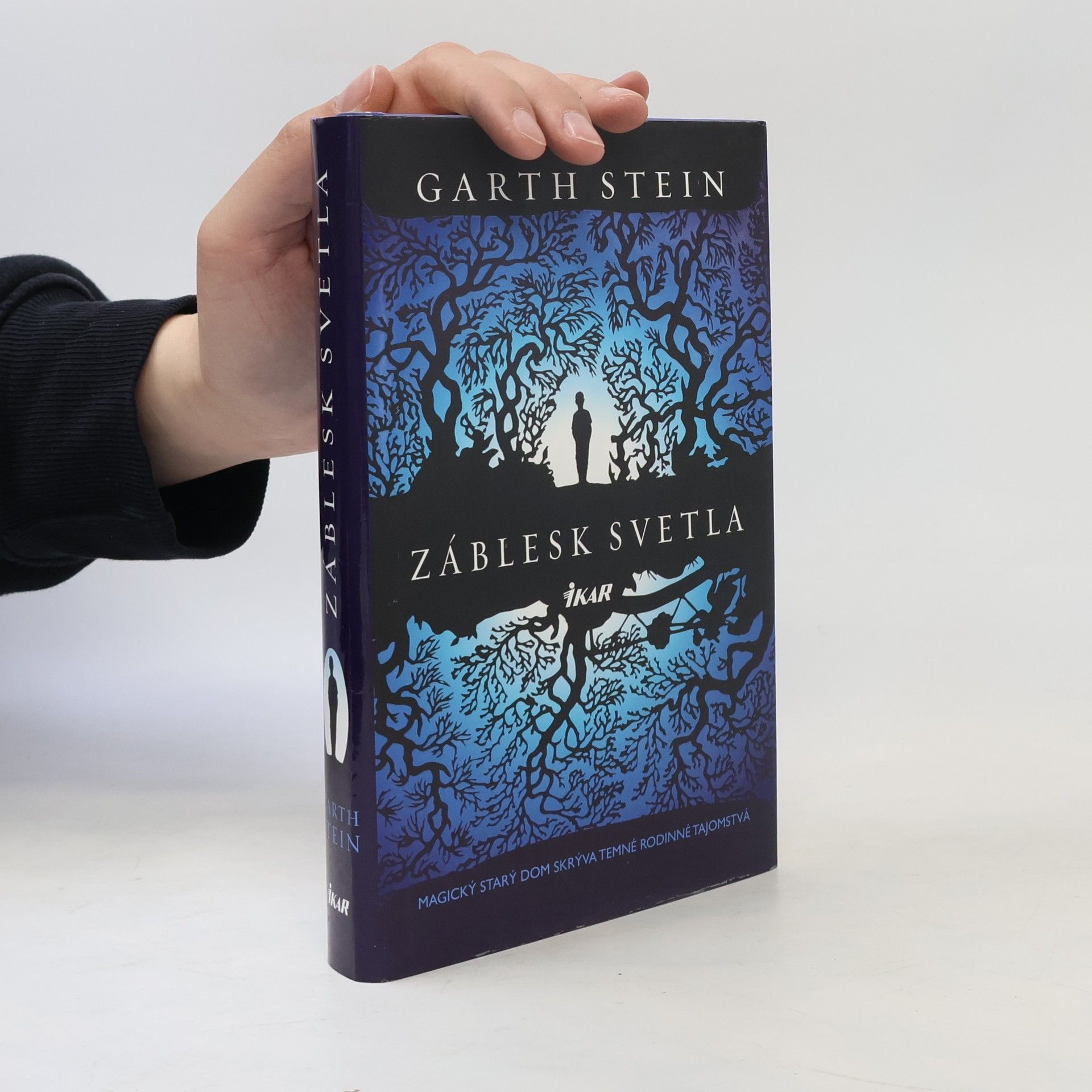 Garth Stein Záblesk svetla