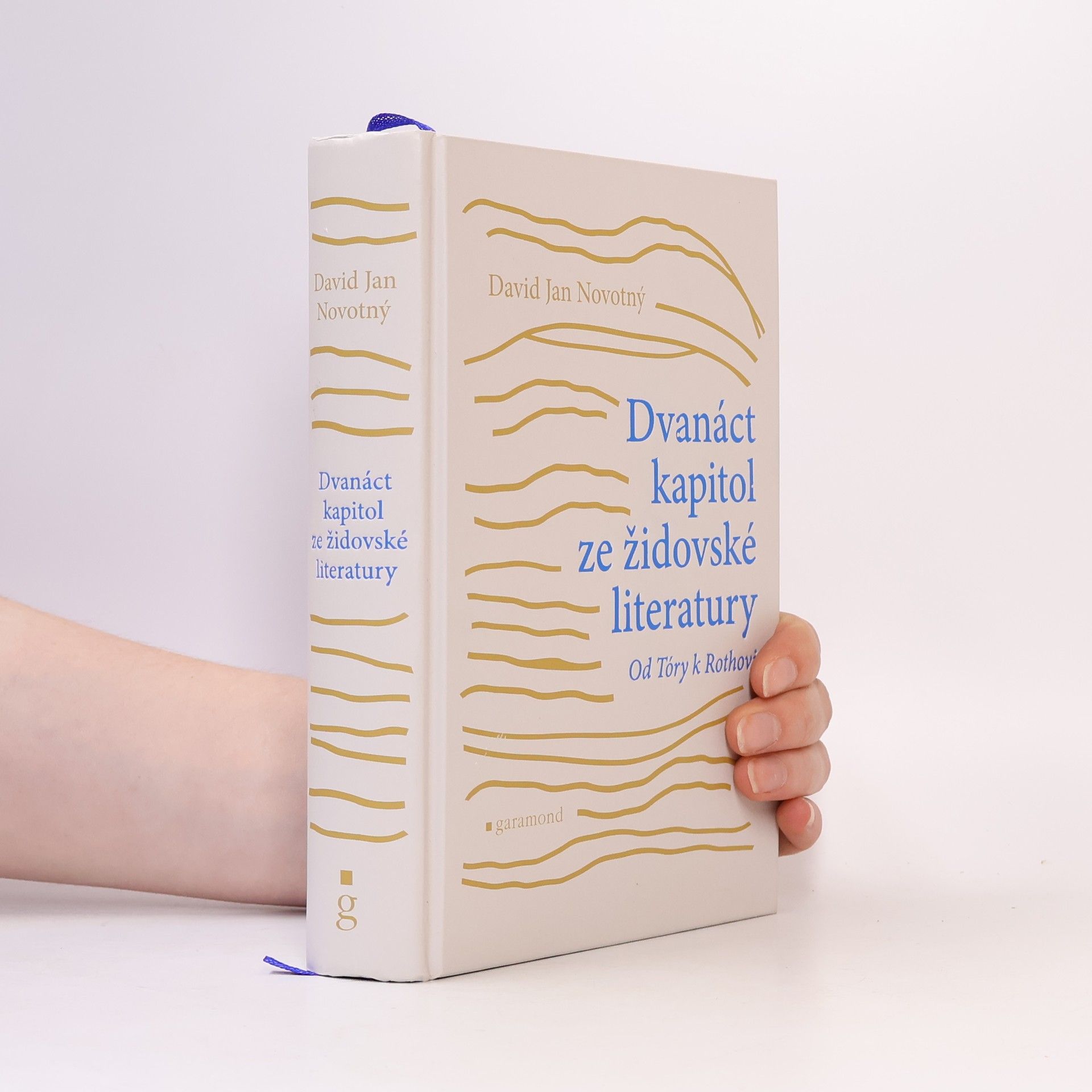 David Jan Novotný Dvanáct kapitol ze židovské literatury: Od Tóry k Rothovi
