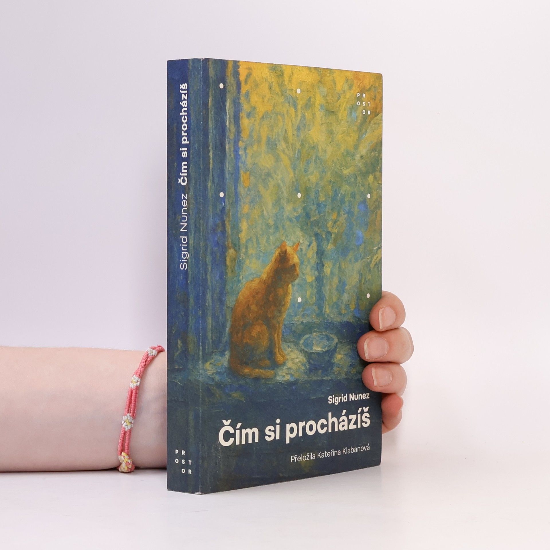 Čím si procházíš