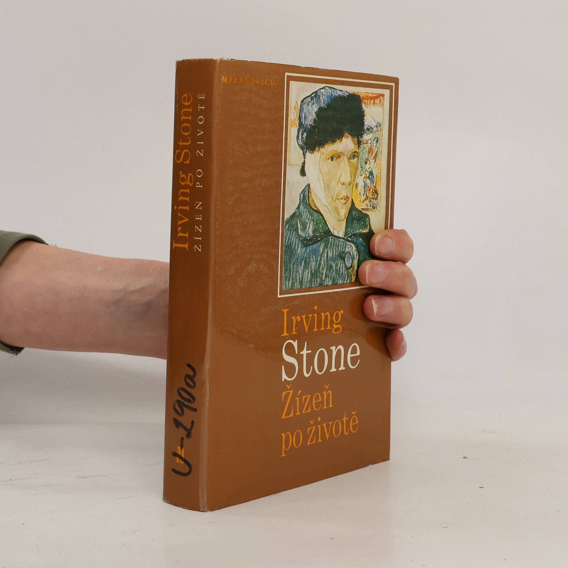 Irving Stone Žízeň po životě