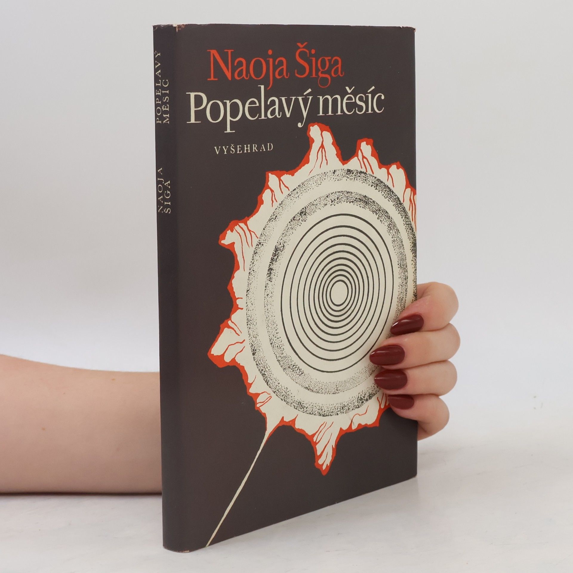 Šiga Naoja Popelavý měsíc