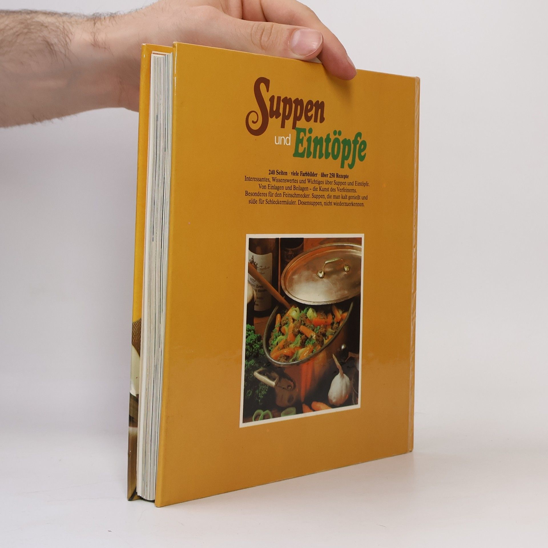 Autorenkollektiv Suppen und Eintöpfe