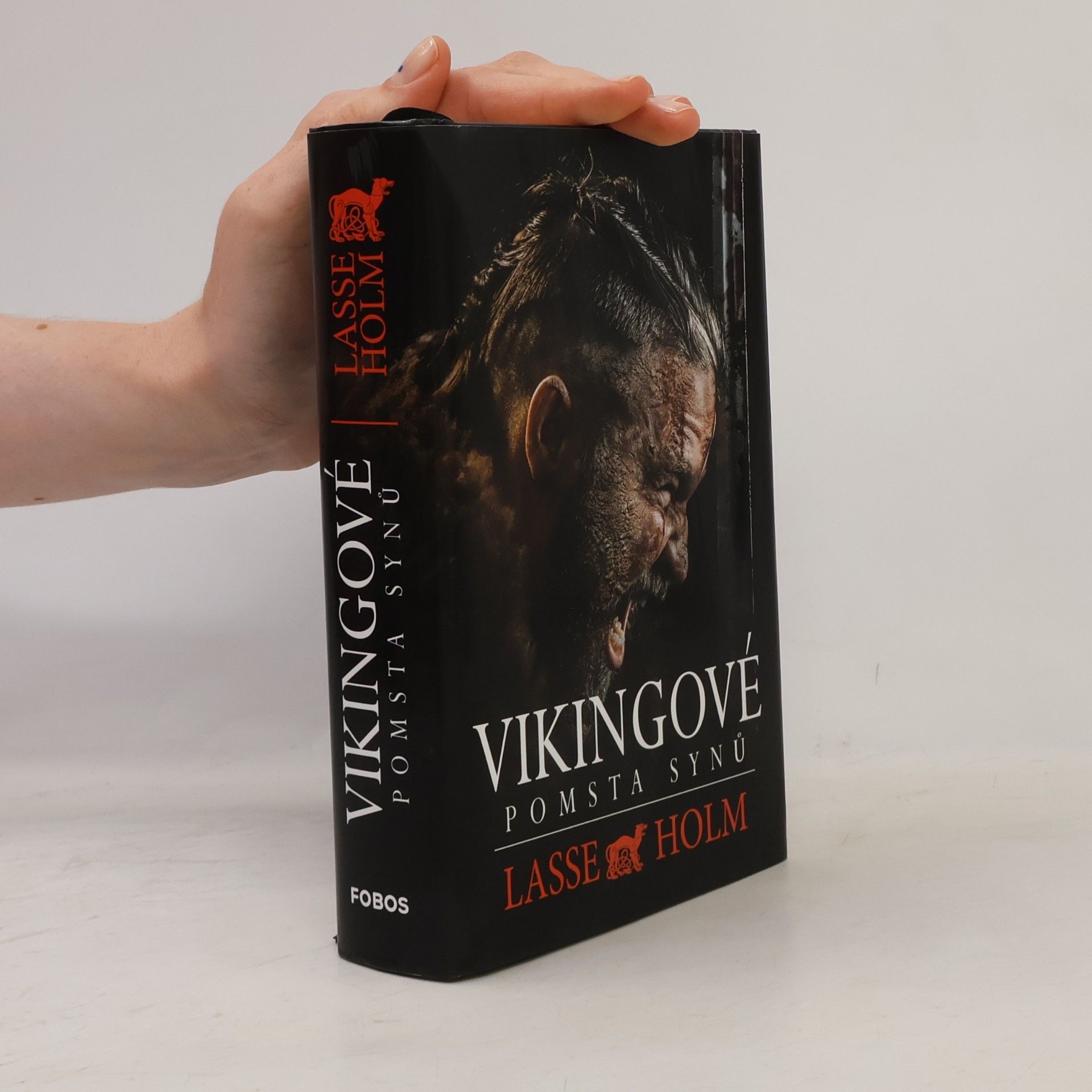 Lasse Holm Vikingové. Pomsta synů