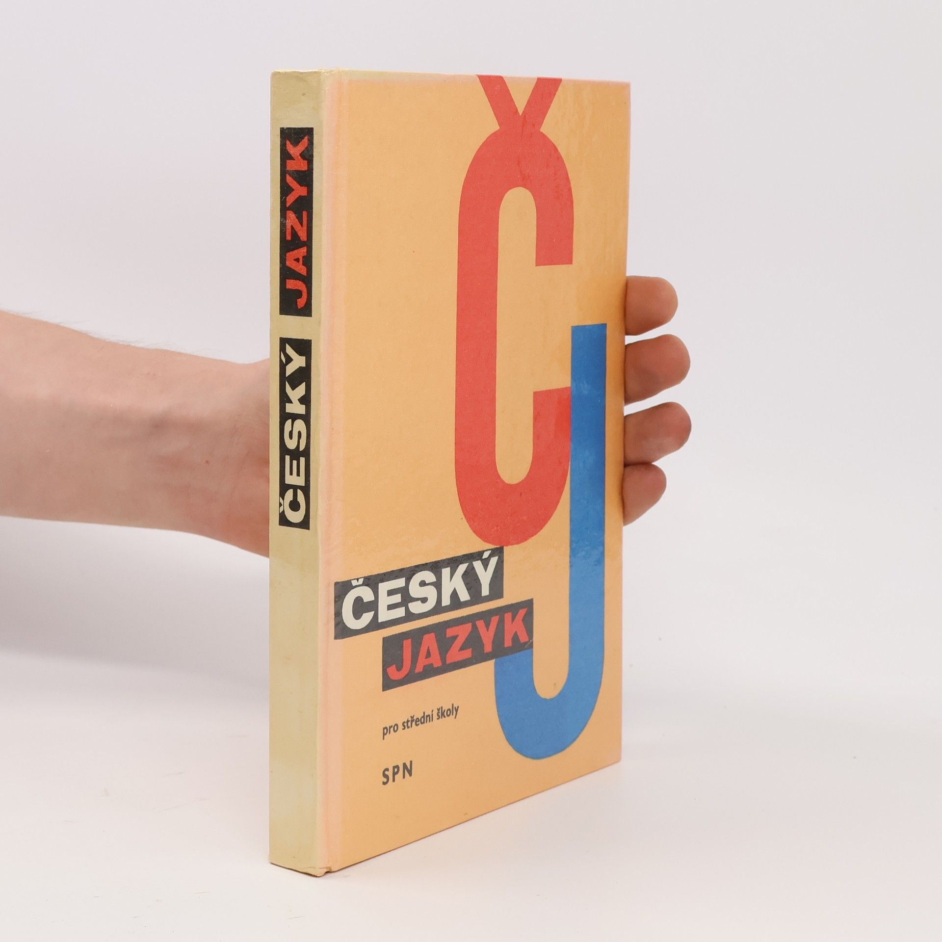 Collectif d'auteurs Český jazyk pro střední školy