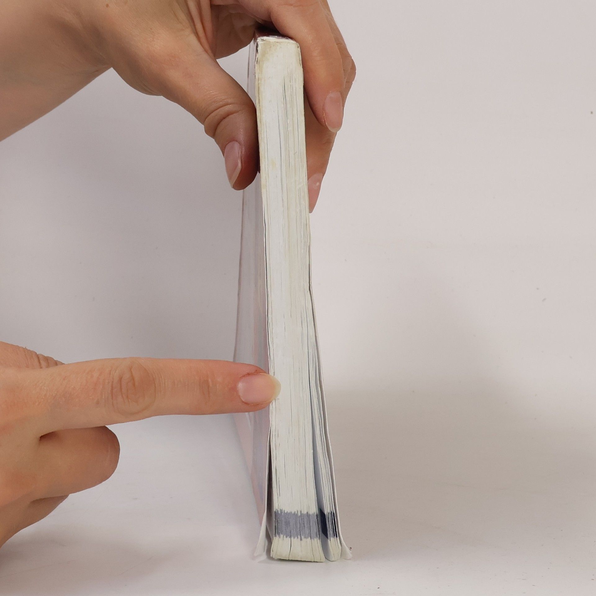 Taťána Polášková Literatura: Přehled středoškolského učiva
