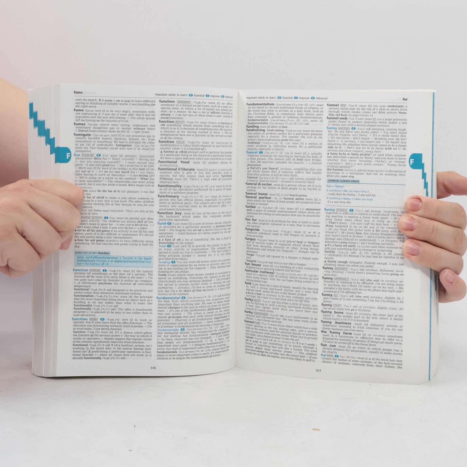 Elizabeth Walter Cambridge advanced learner's dictionary