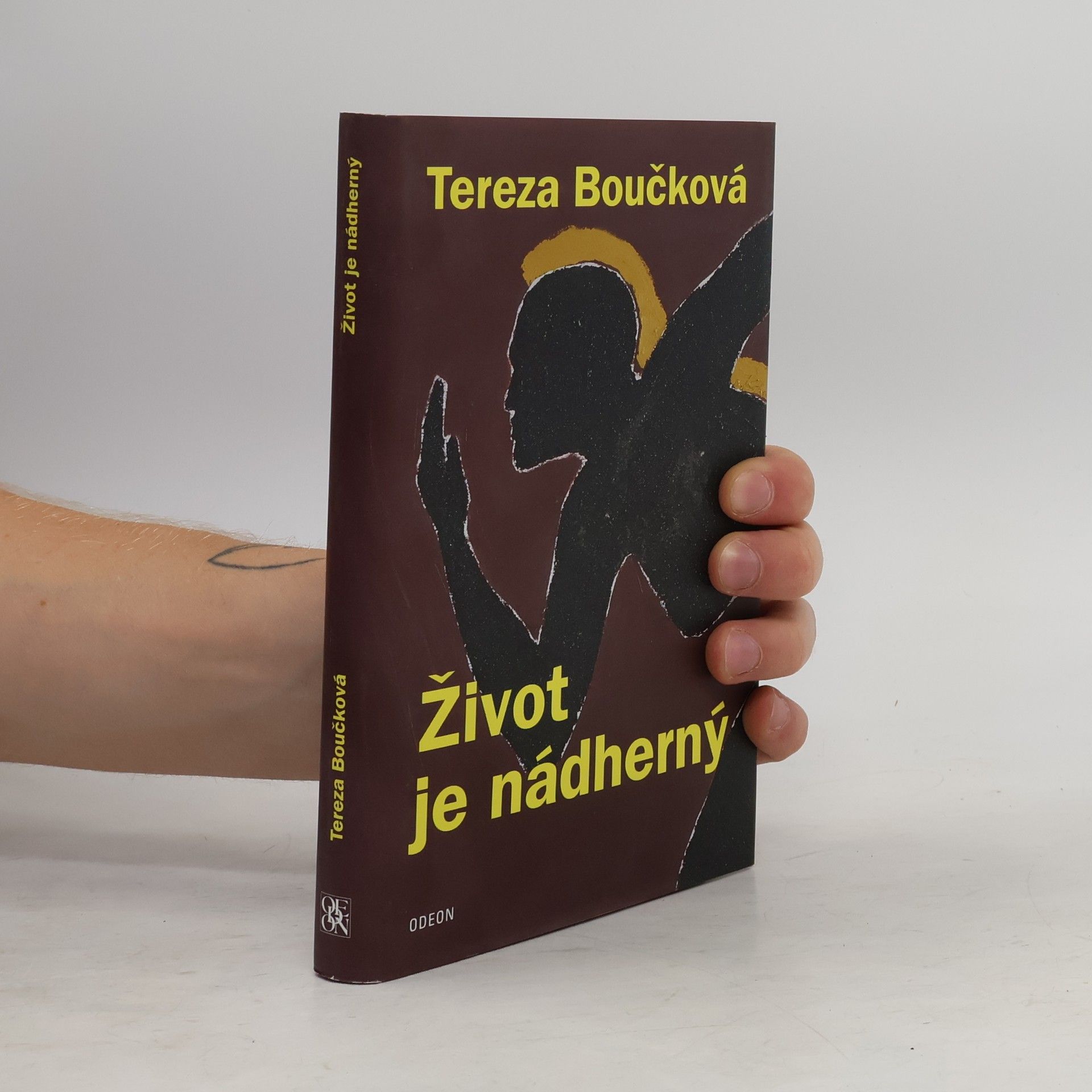 Tereza Boučková Život je nádherný