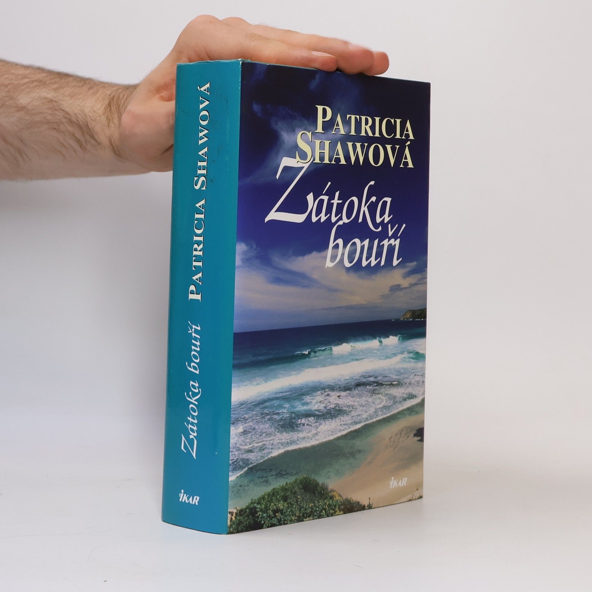 Patricia Shaw Zátoka bouří