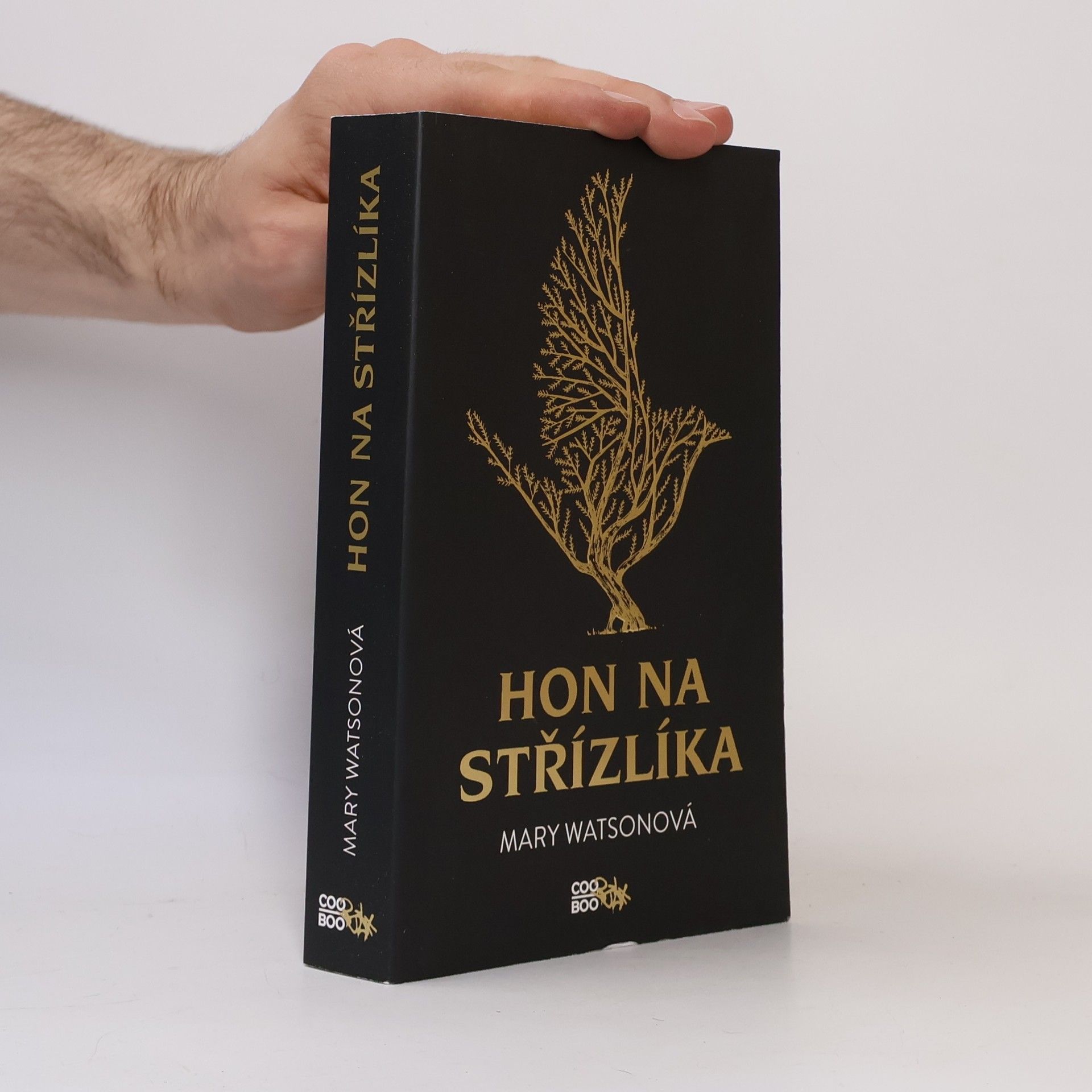 Mary Watson Hon na střízlíka