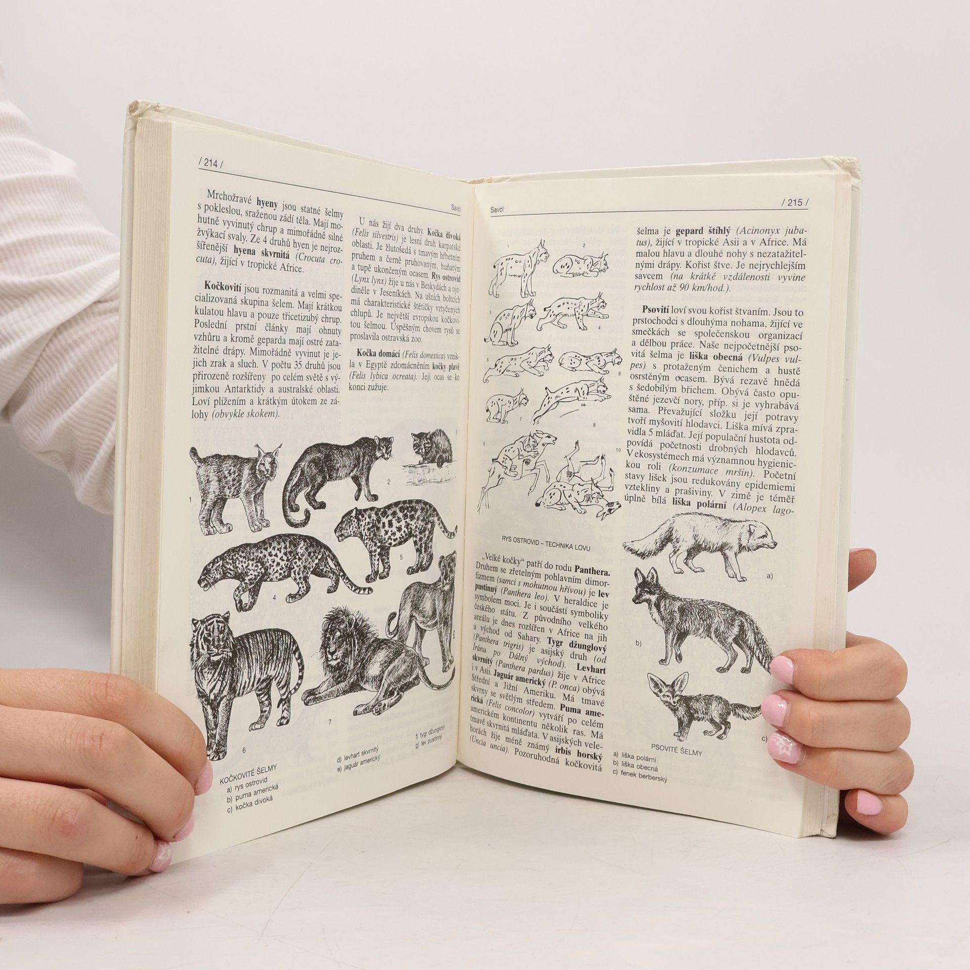 Vladimír Zicháček Zoologie
