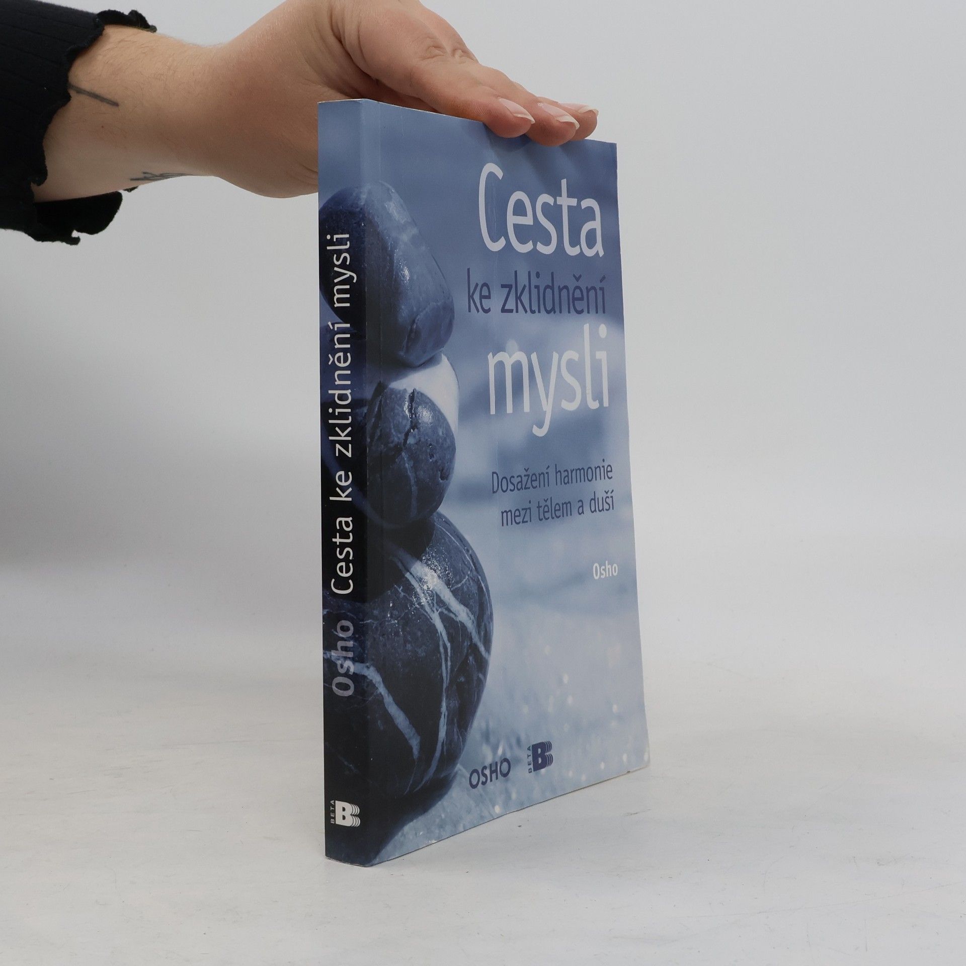Osho Cesta ke zklidnění mysli