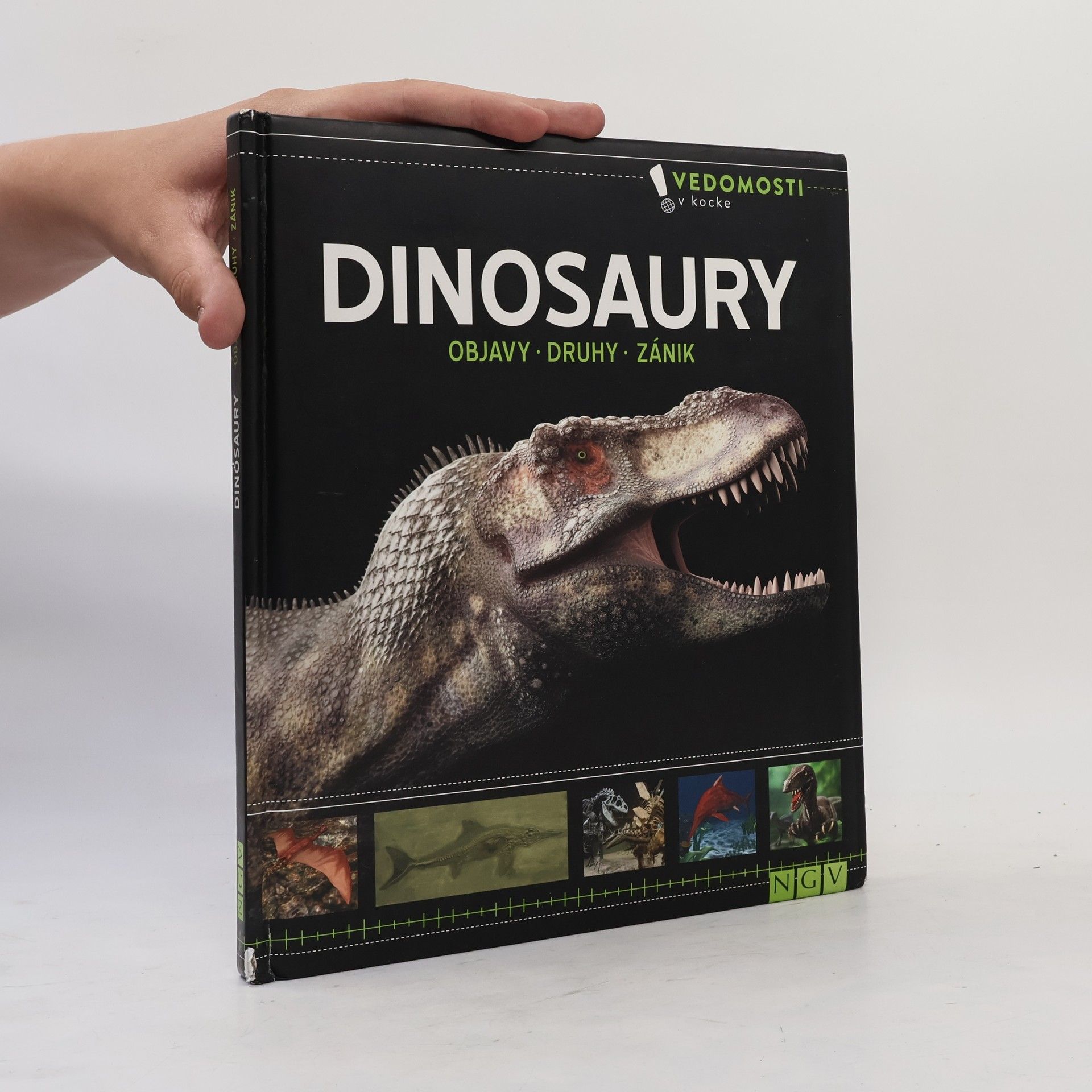 Collectif d'auteurs Dinosaury