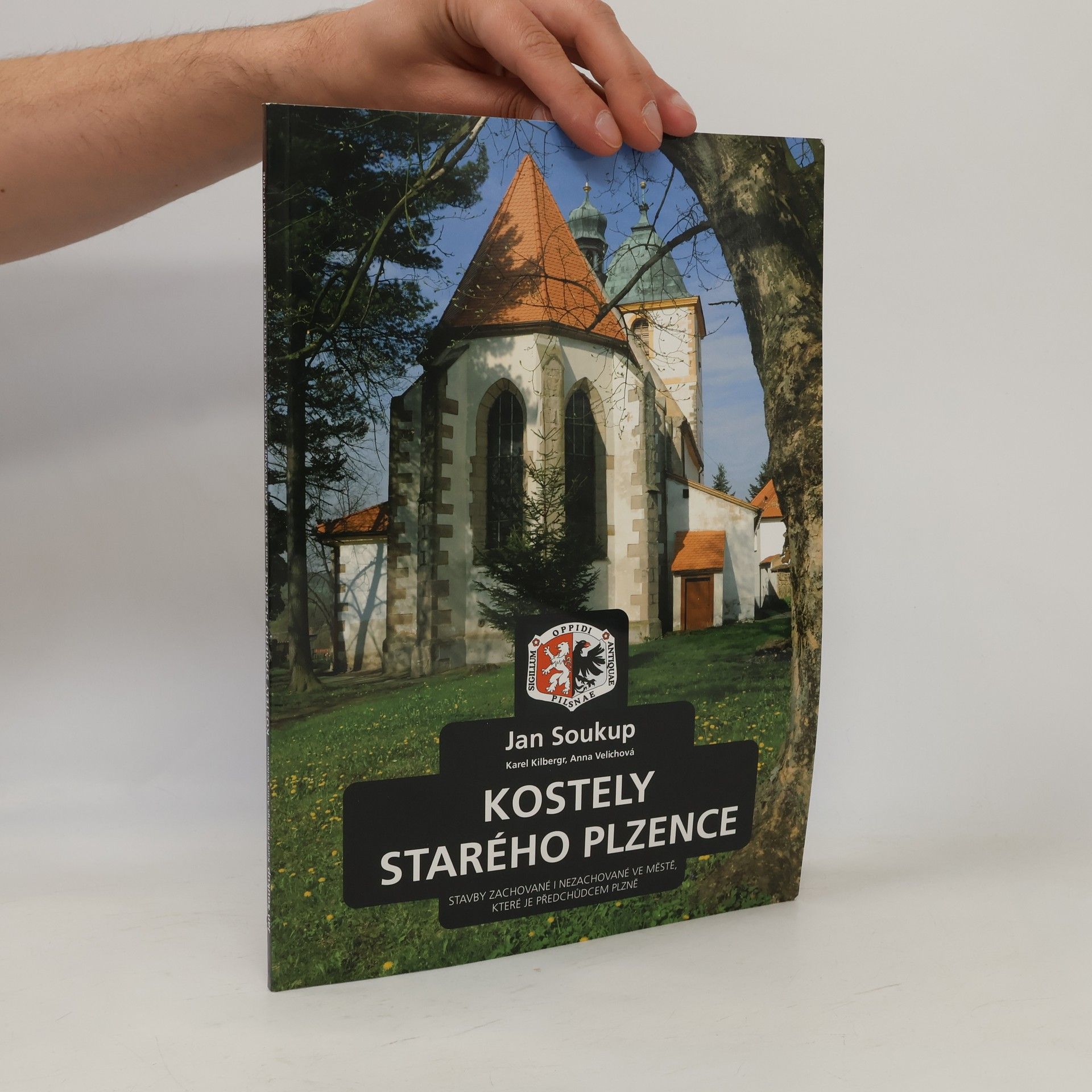 Anna Velichová Kostely Starého Plzence