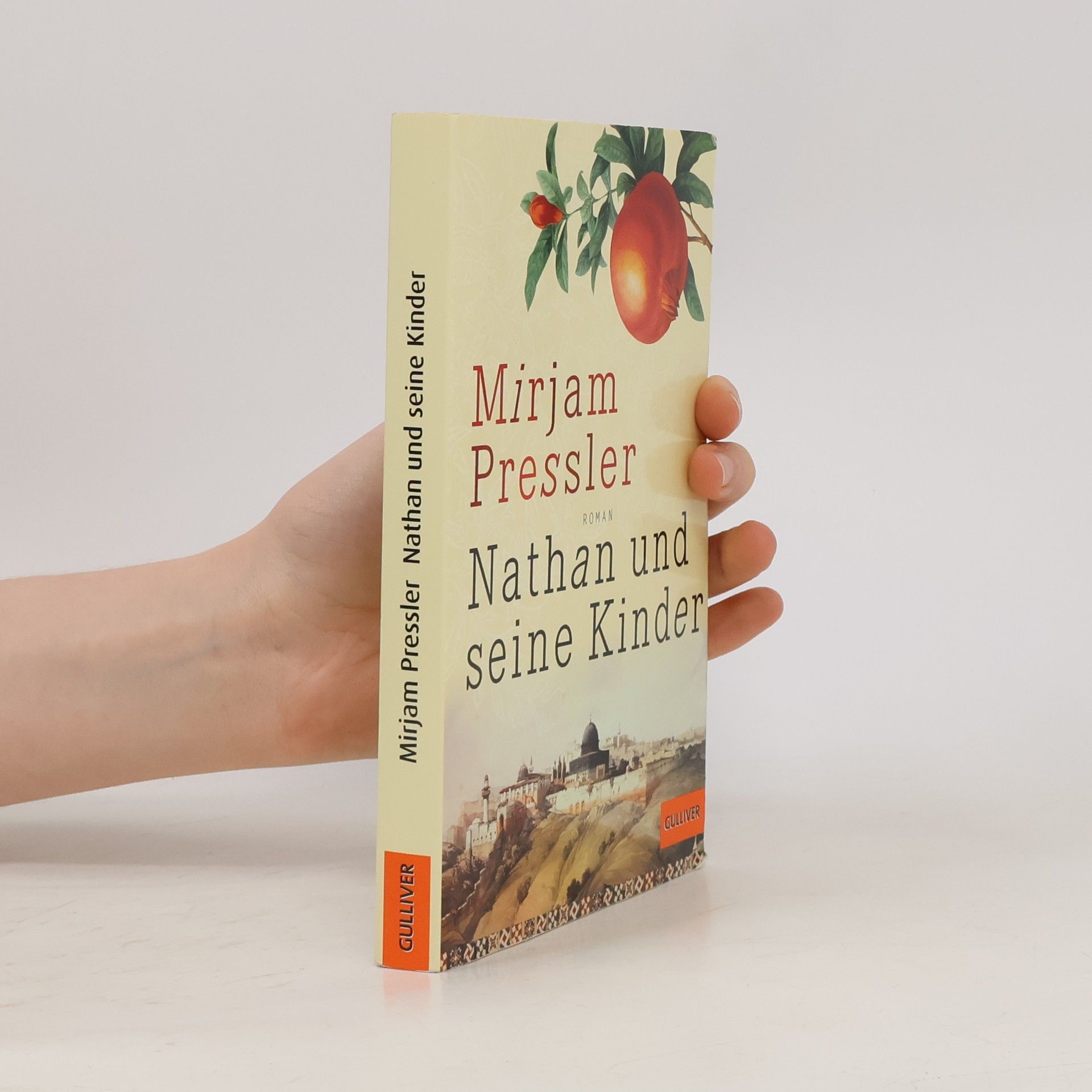 Mirjam Pressler Nathan und seine Kinder