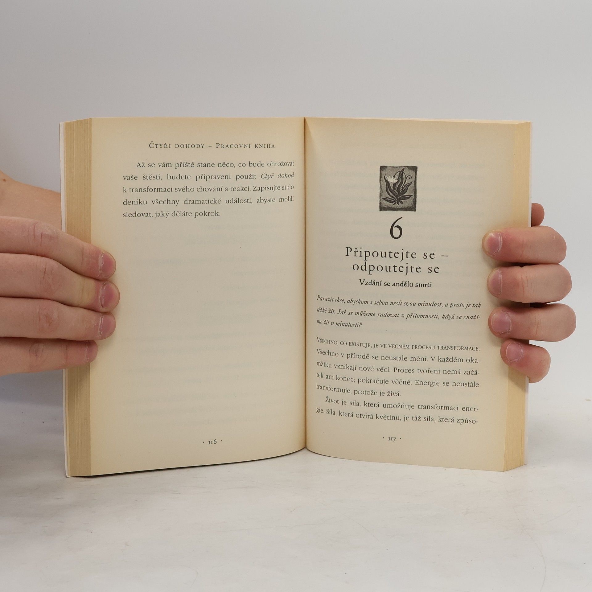 Don Miguel Ruiz Čtyři dohody. Pracovní kniha