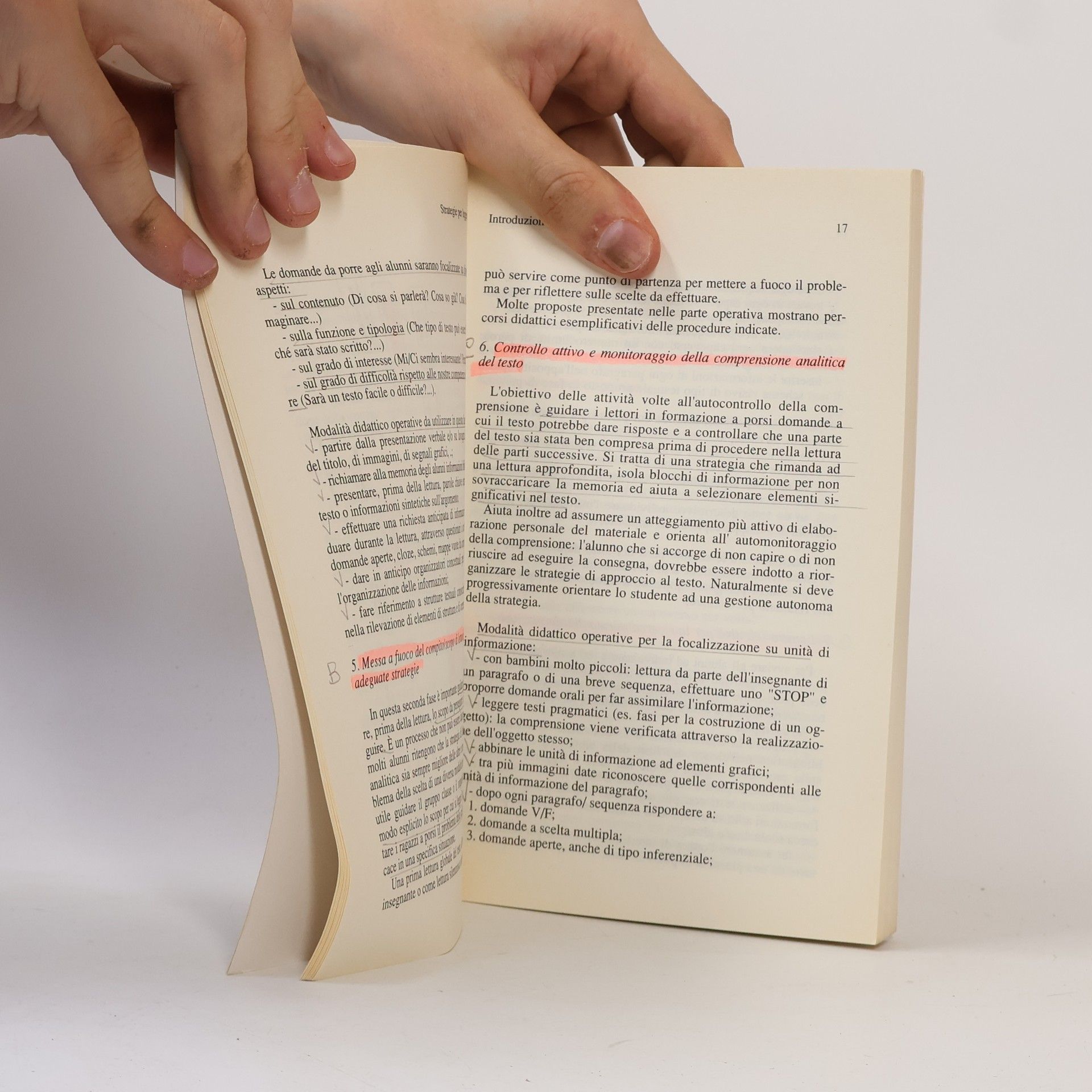 Lucia Filippini Fare Scuola Elementare: Strategie per leggere