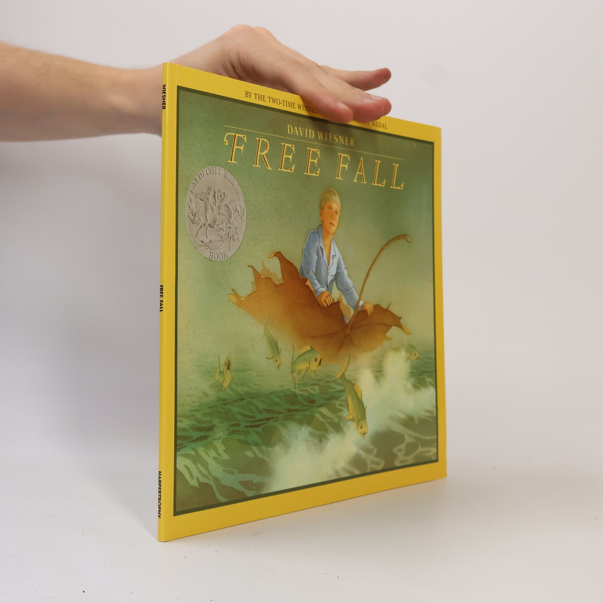 David Wiesner Free Fall
