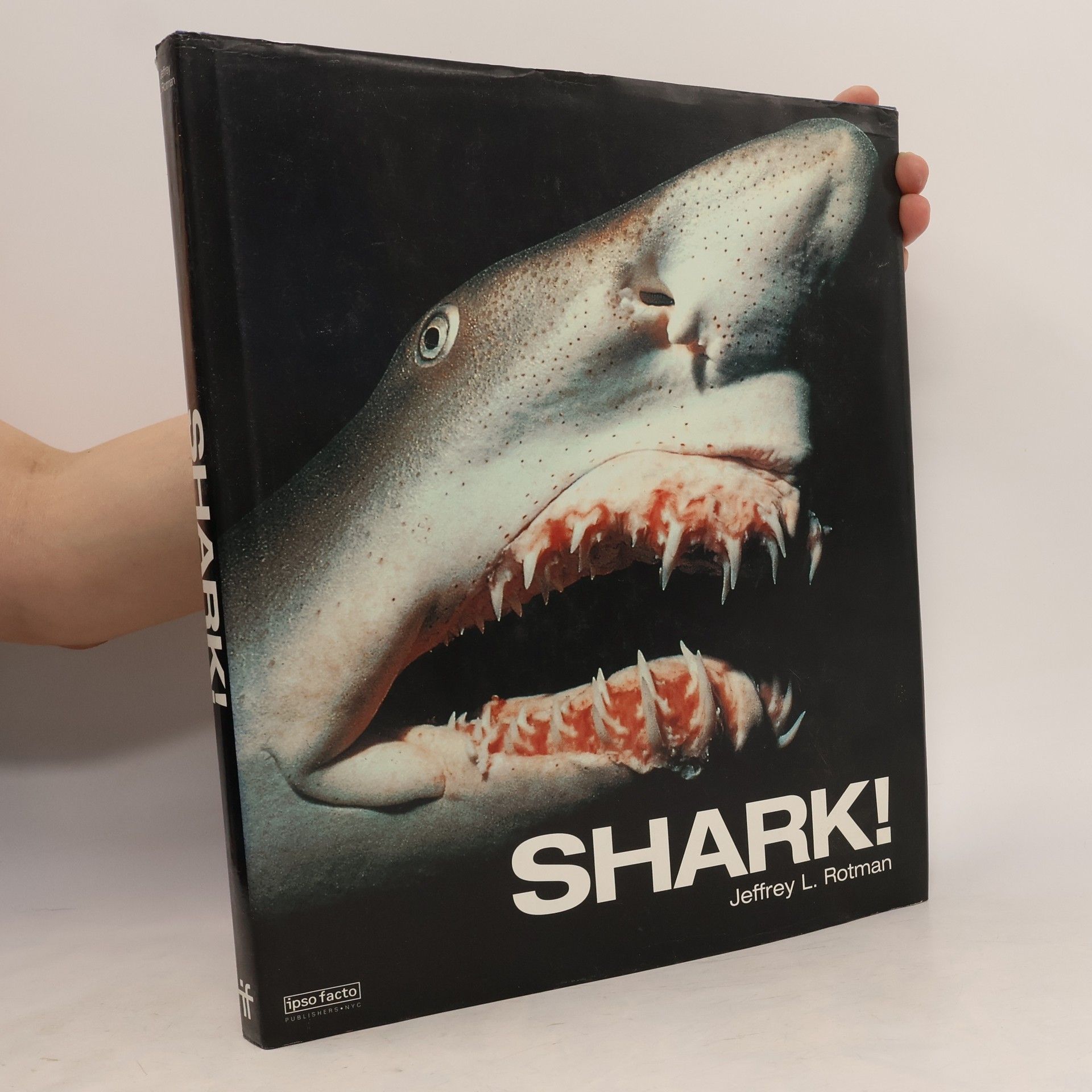 Jeffrey L. Rotman Shark!