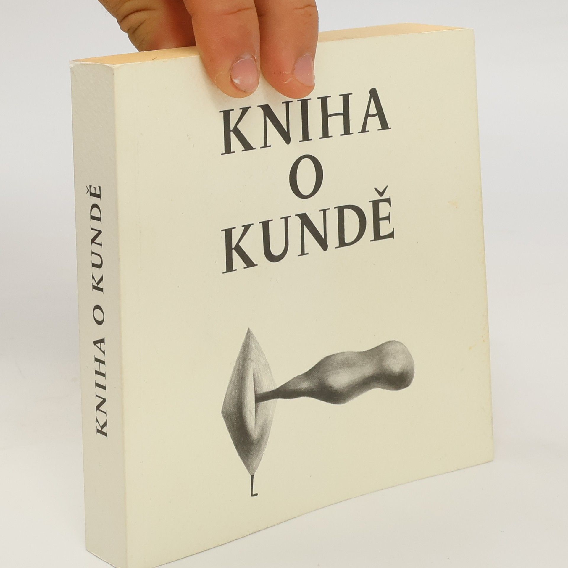 Nela D. Aston Kniha o kundě