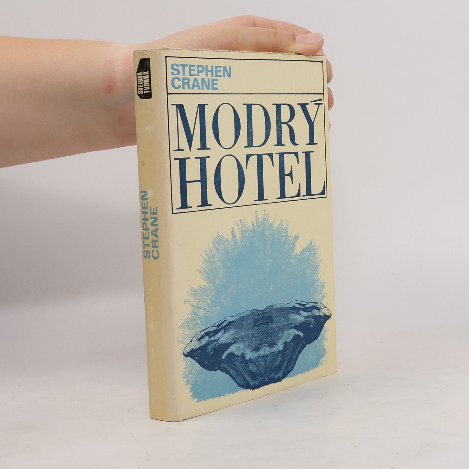 Stephen Crane Modrý hotel