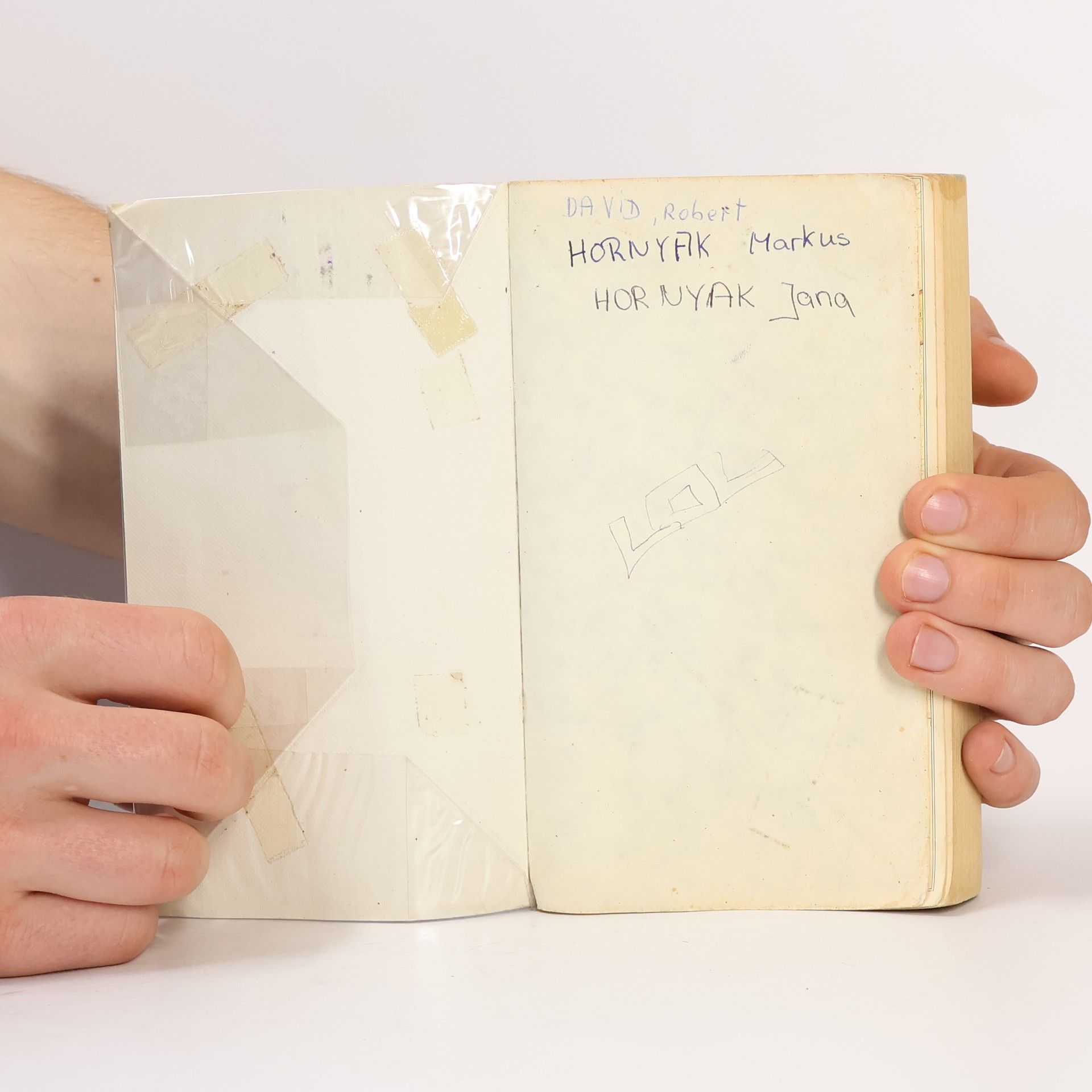 Collectif d'auteurs Die Bibel