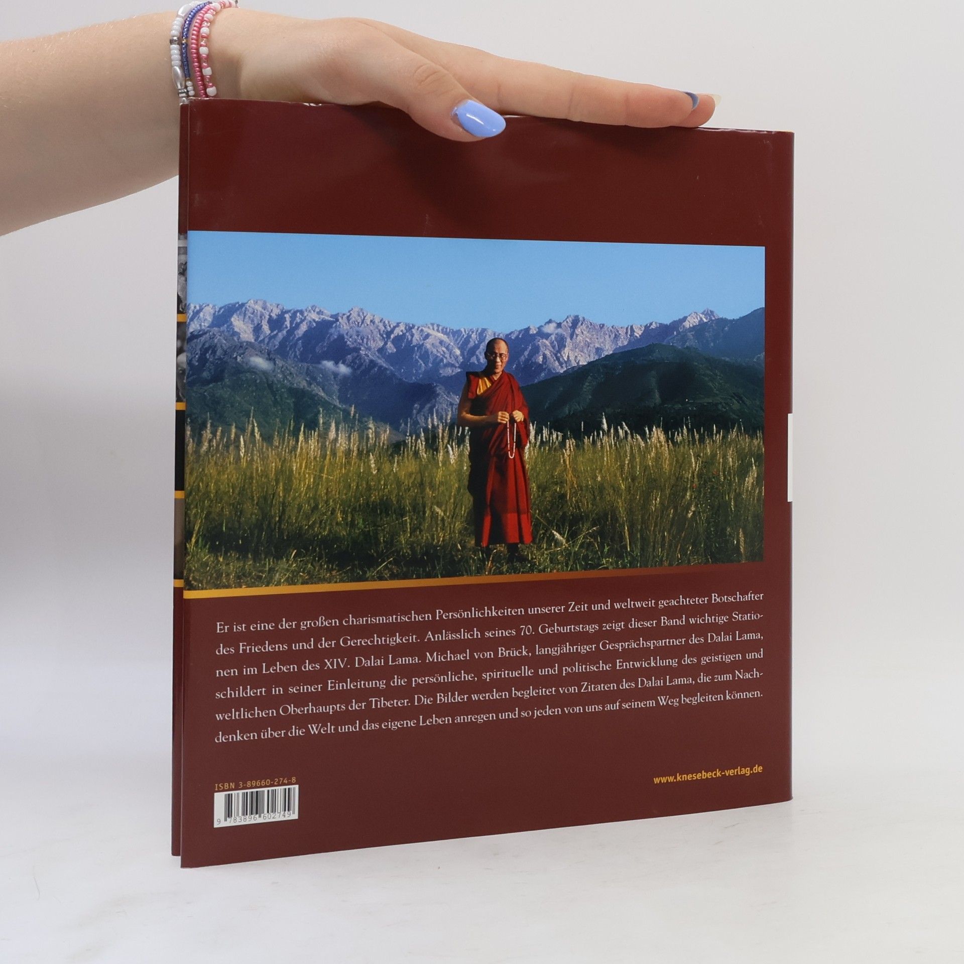 Michael Brück Der Weg des Dalai Lama