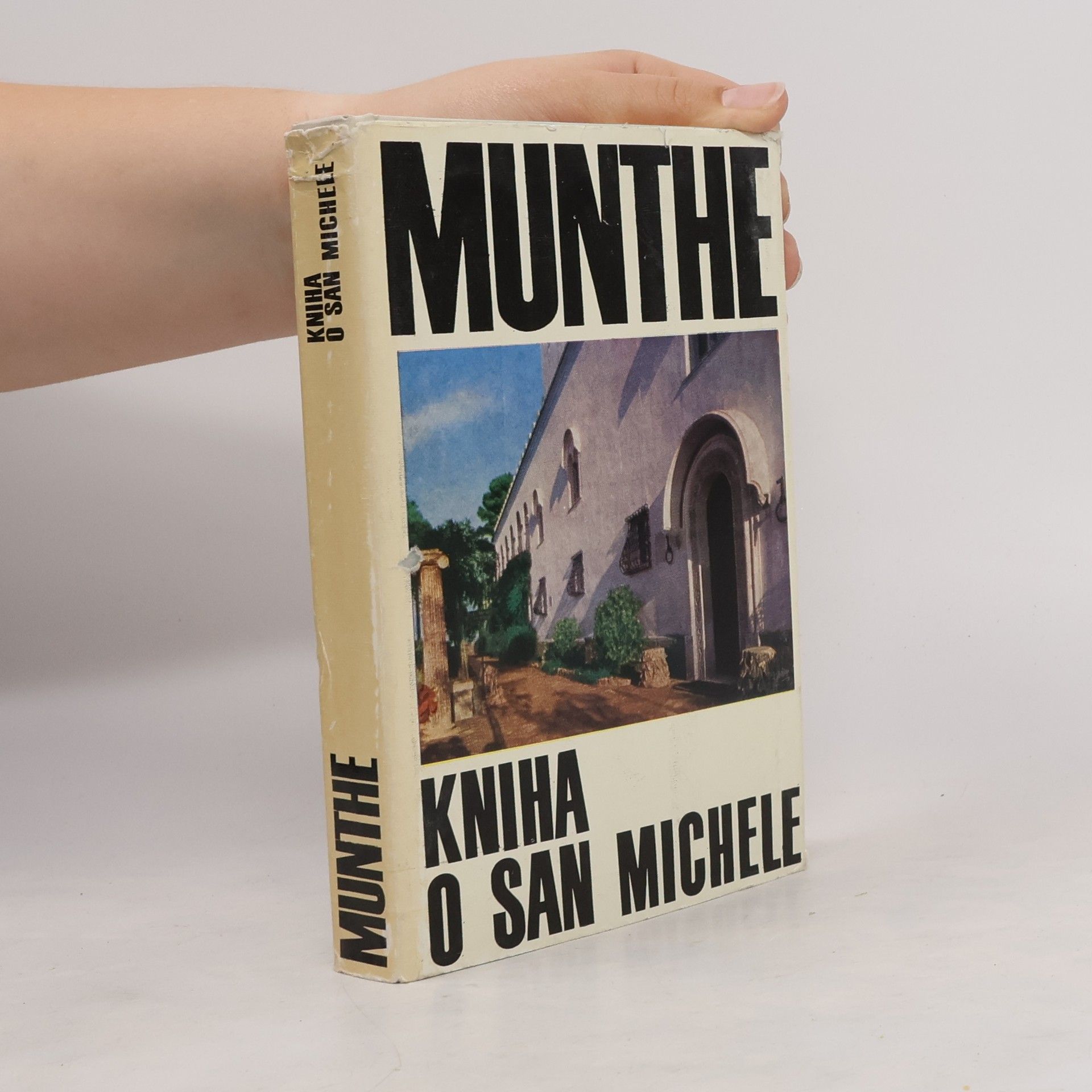 Kniha o San Michele