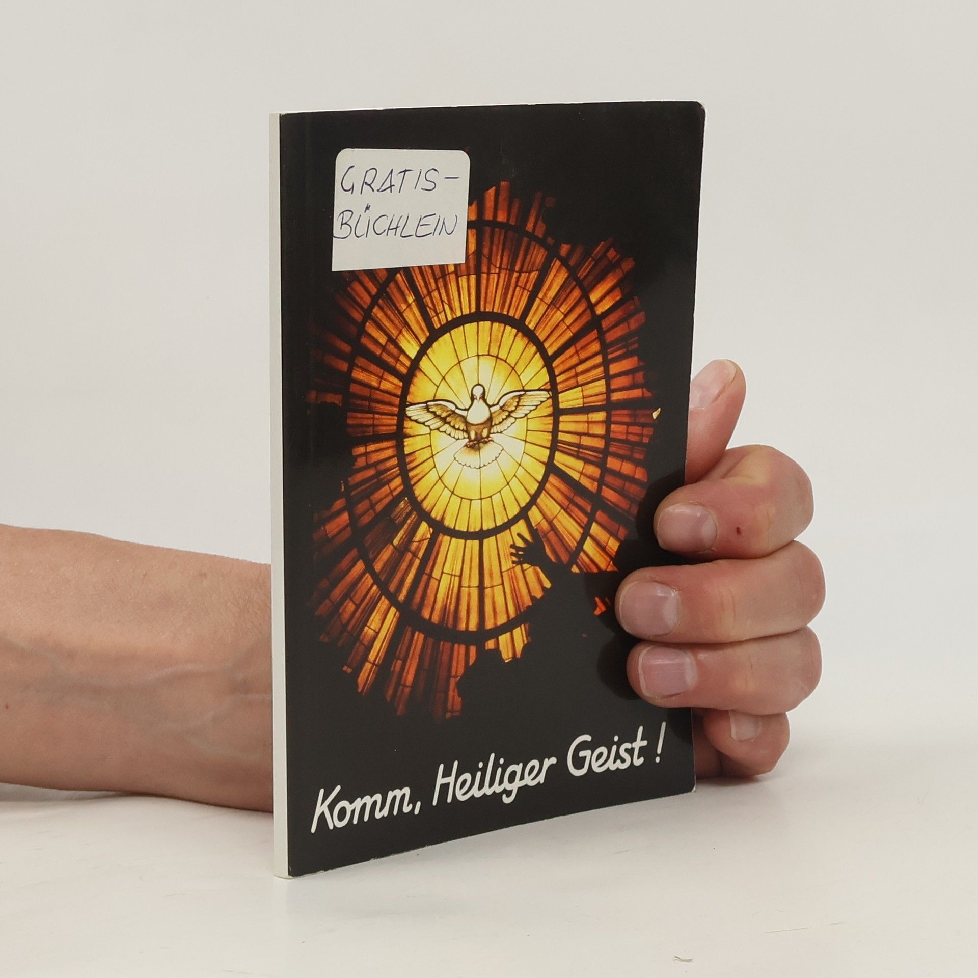 Kolektiv autorů Komm, Heiliger Geist!