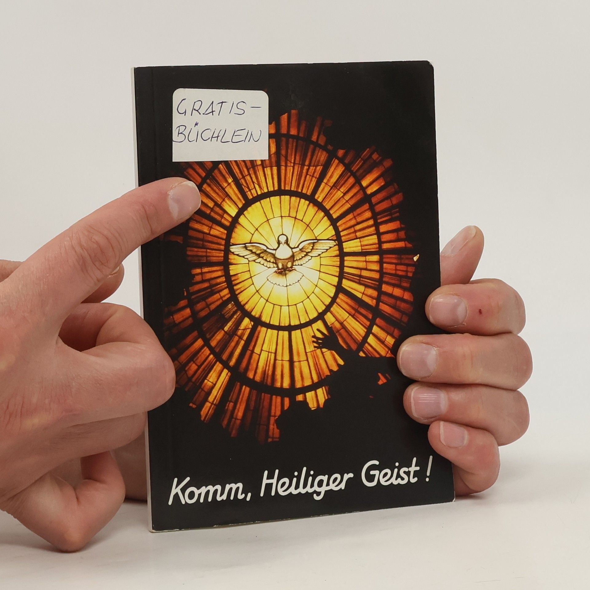 Kolektiv autorů Komm, Heiliger Geist!