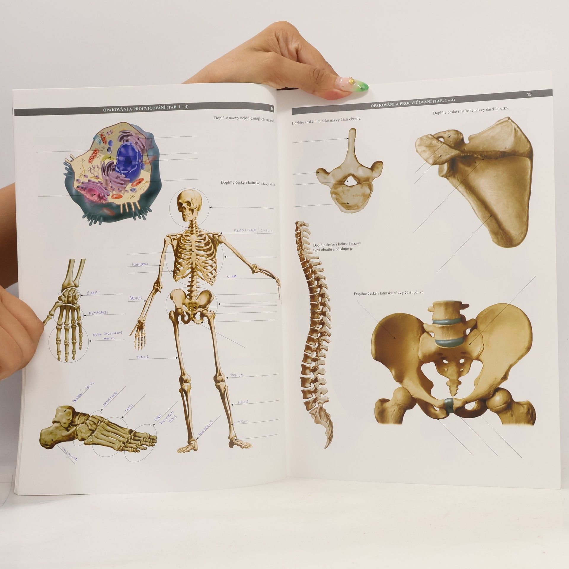Stanislav Trojan Atlas biologie člověka