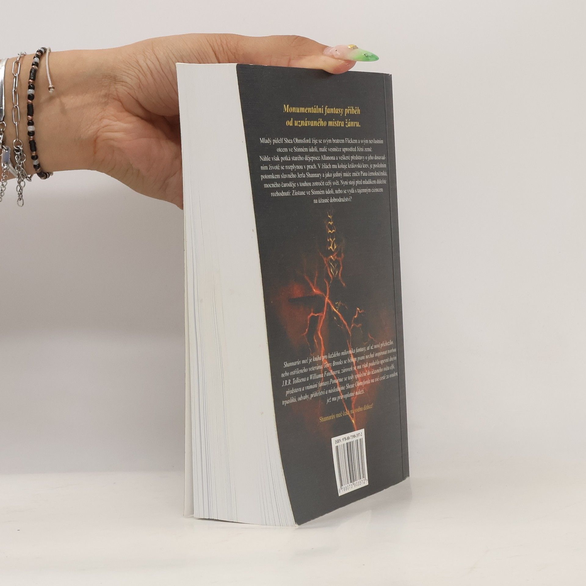 Terry Brooks Shannarův meč