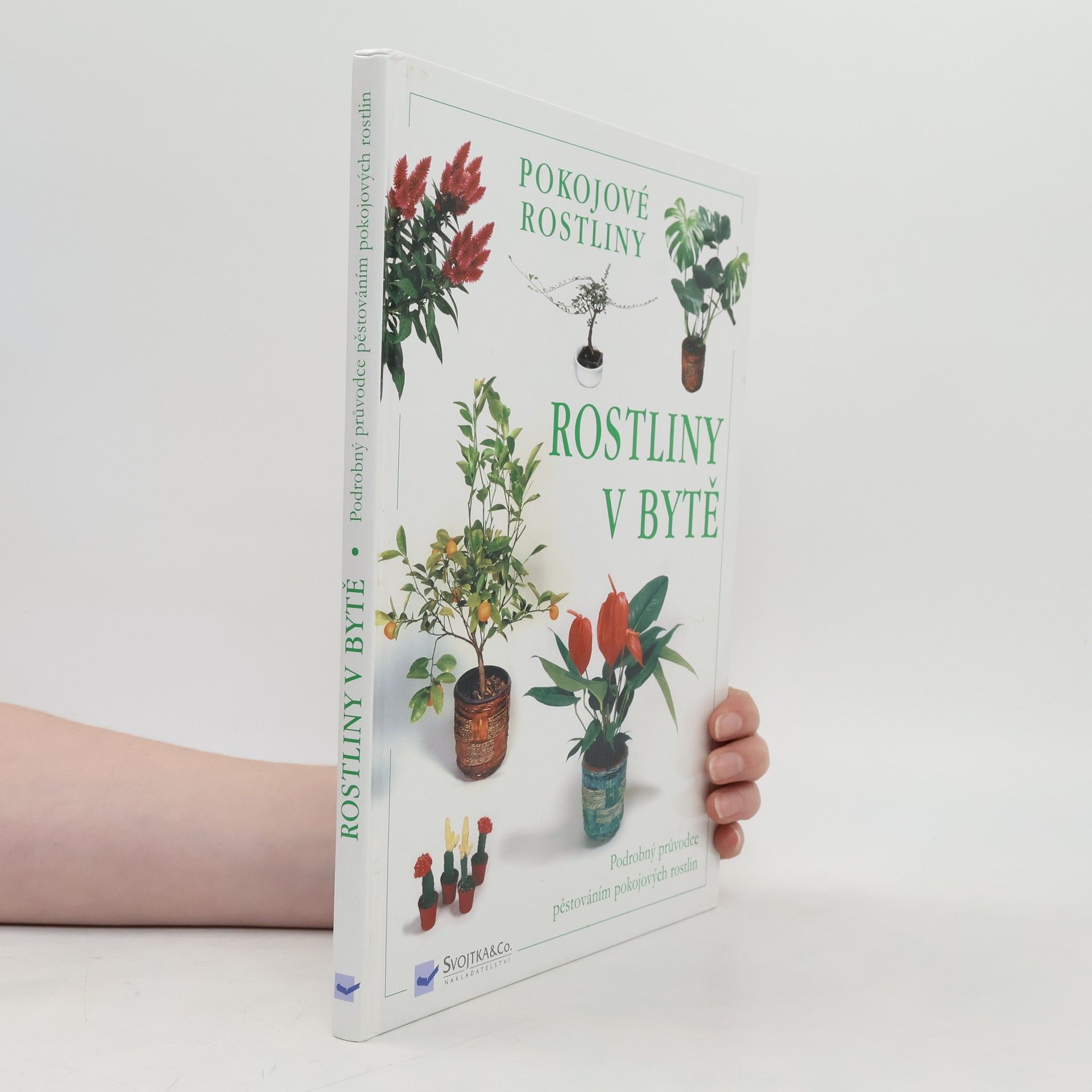 Kolektiv autorů Rostliny v bytě. Pokojové rostliny
