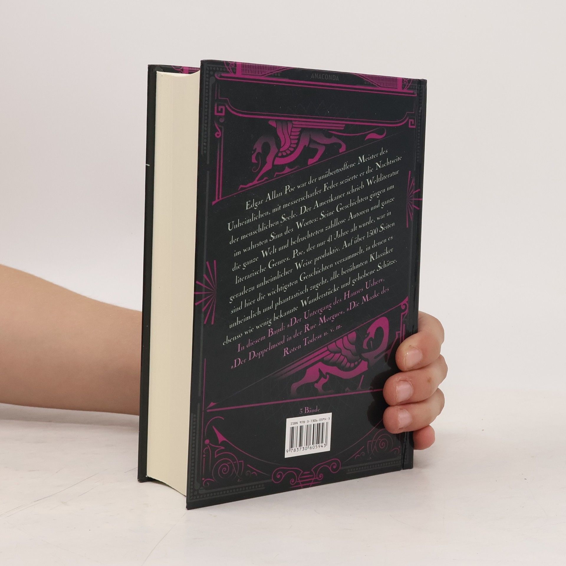 Edgar Allan Poe Unheimliche und phantastische Geschichten 2