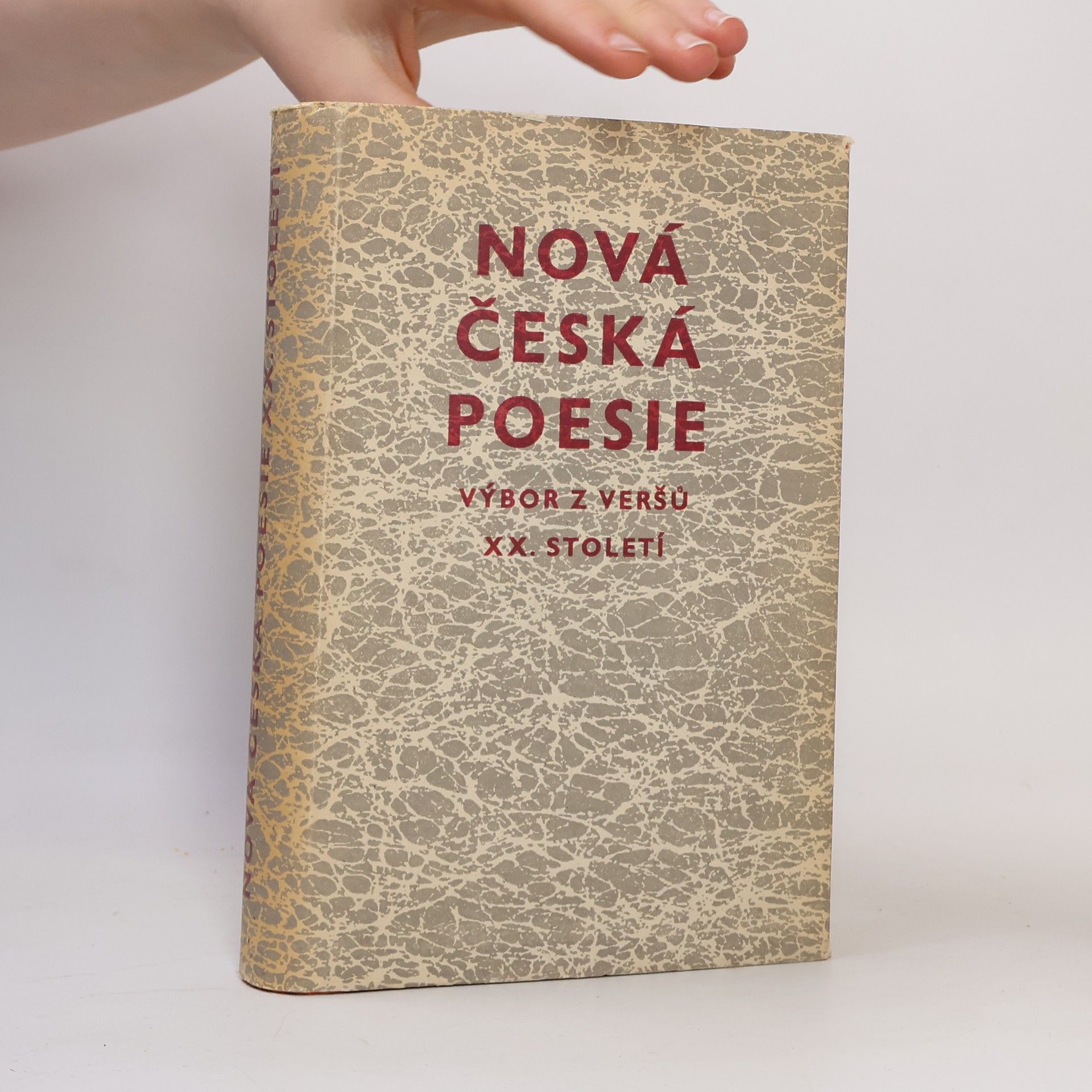 František Buriánek Nová česká poesie