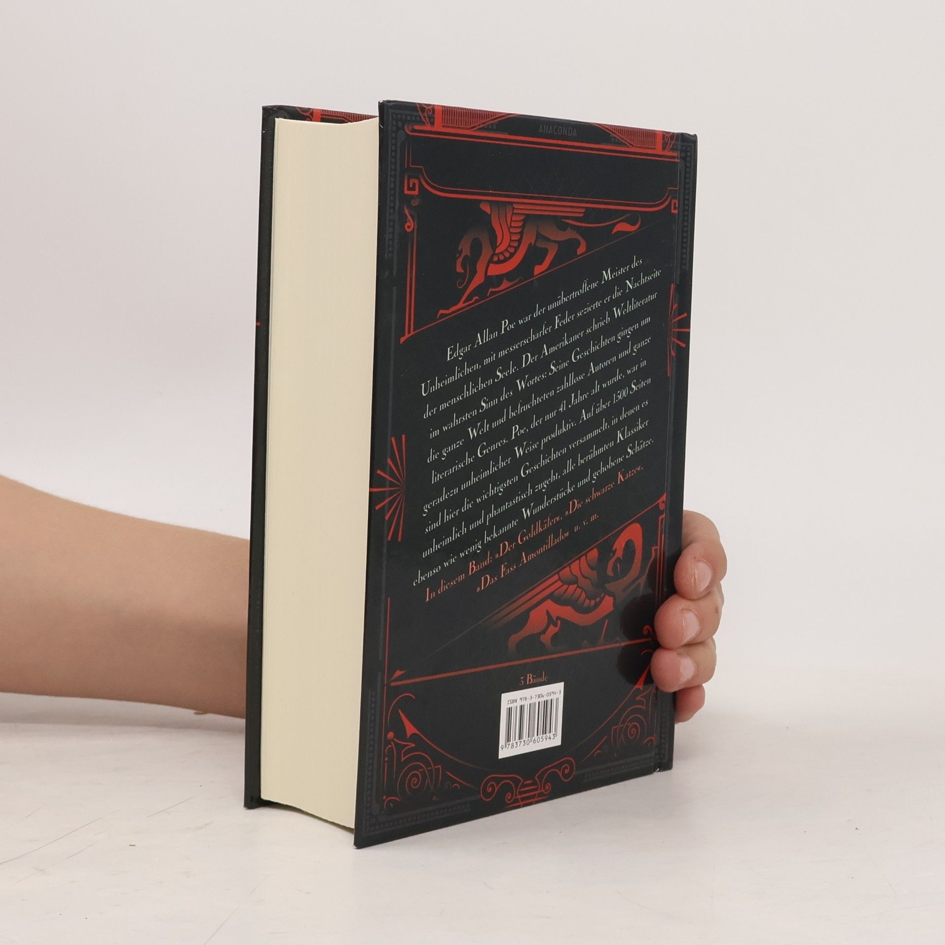 Edgar Allan Poe Unheimliche und phantastische Geschichten 2