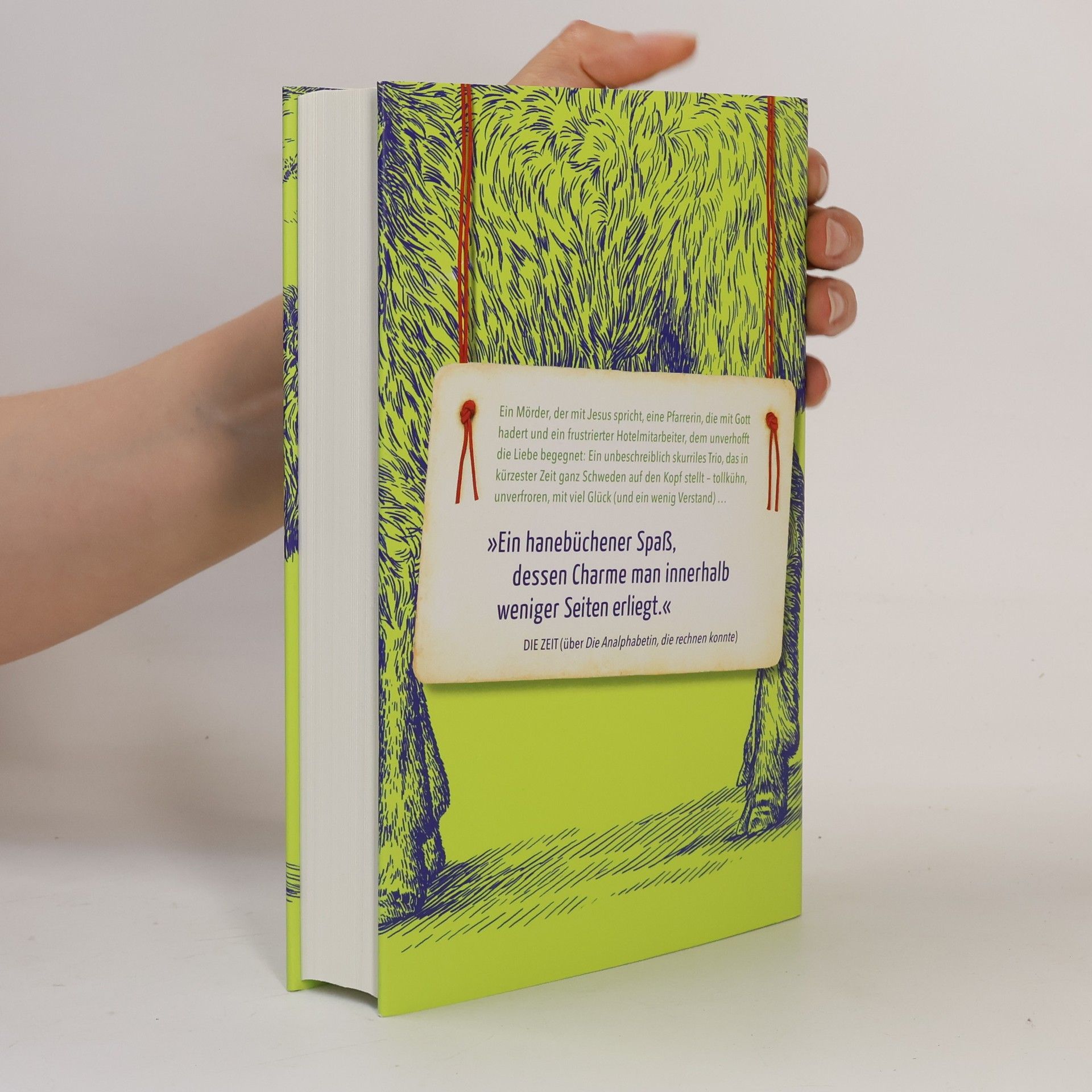Jonas Jonasson Mörder Anders und seine Freunde nebst dem einen oder anderen Feind