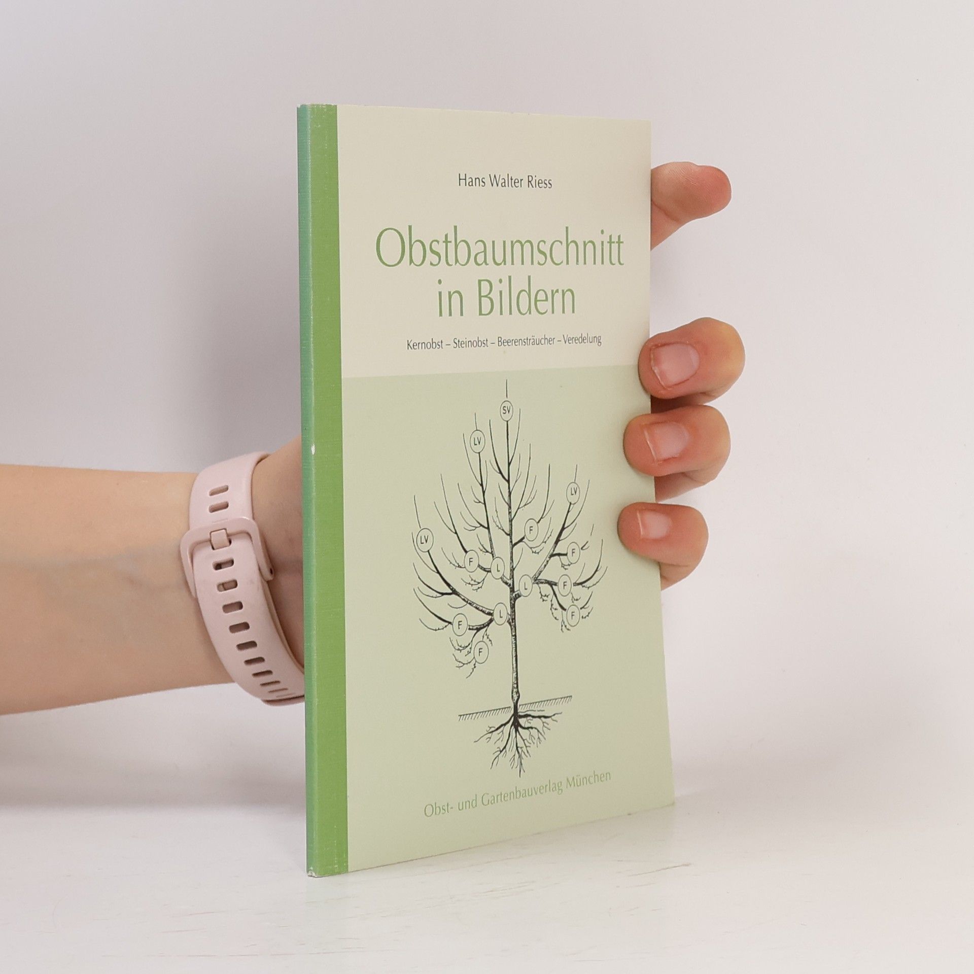 Obstbaumschnitt in Bildern